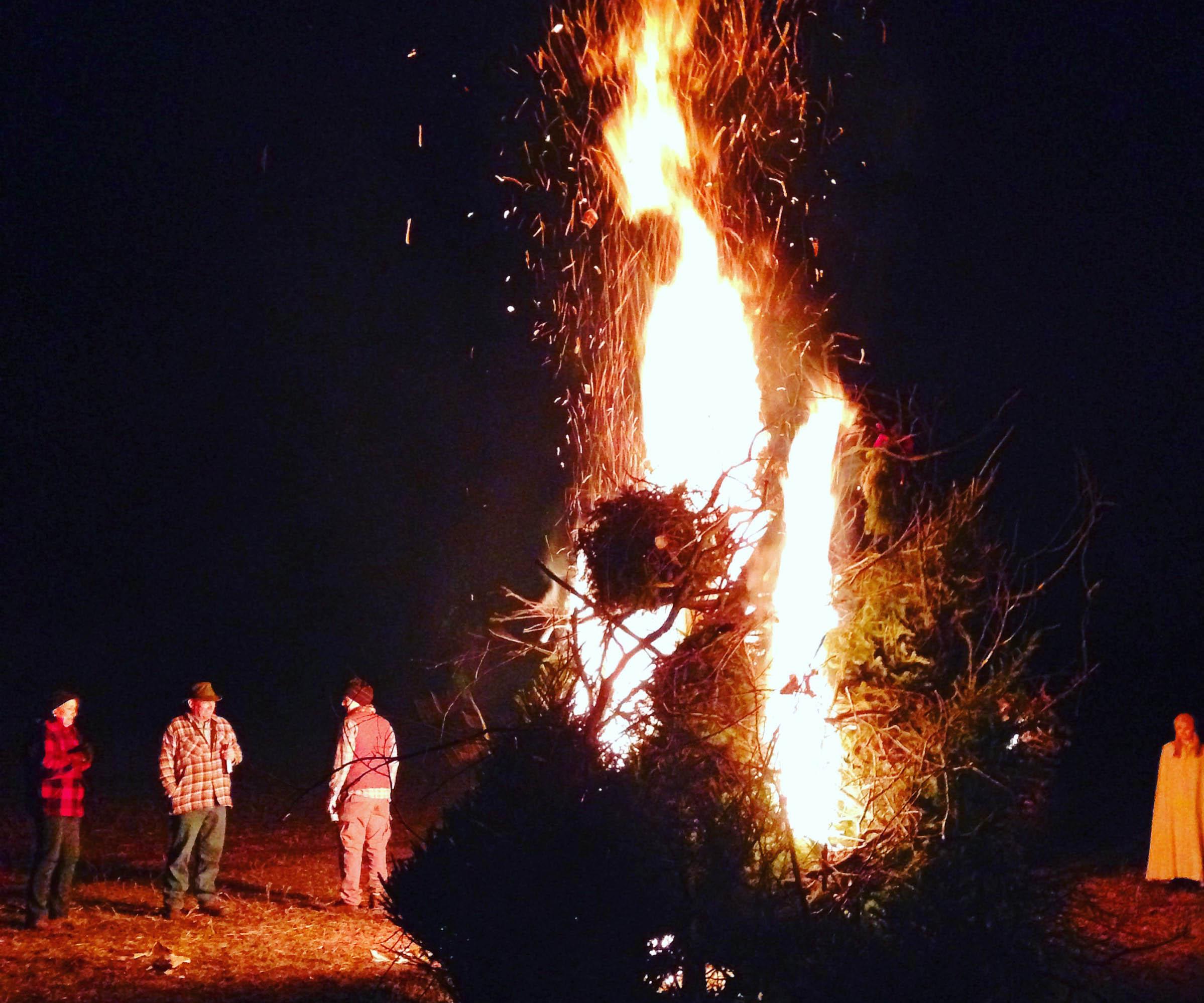 What is Guy Fawkes Night?