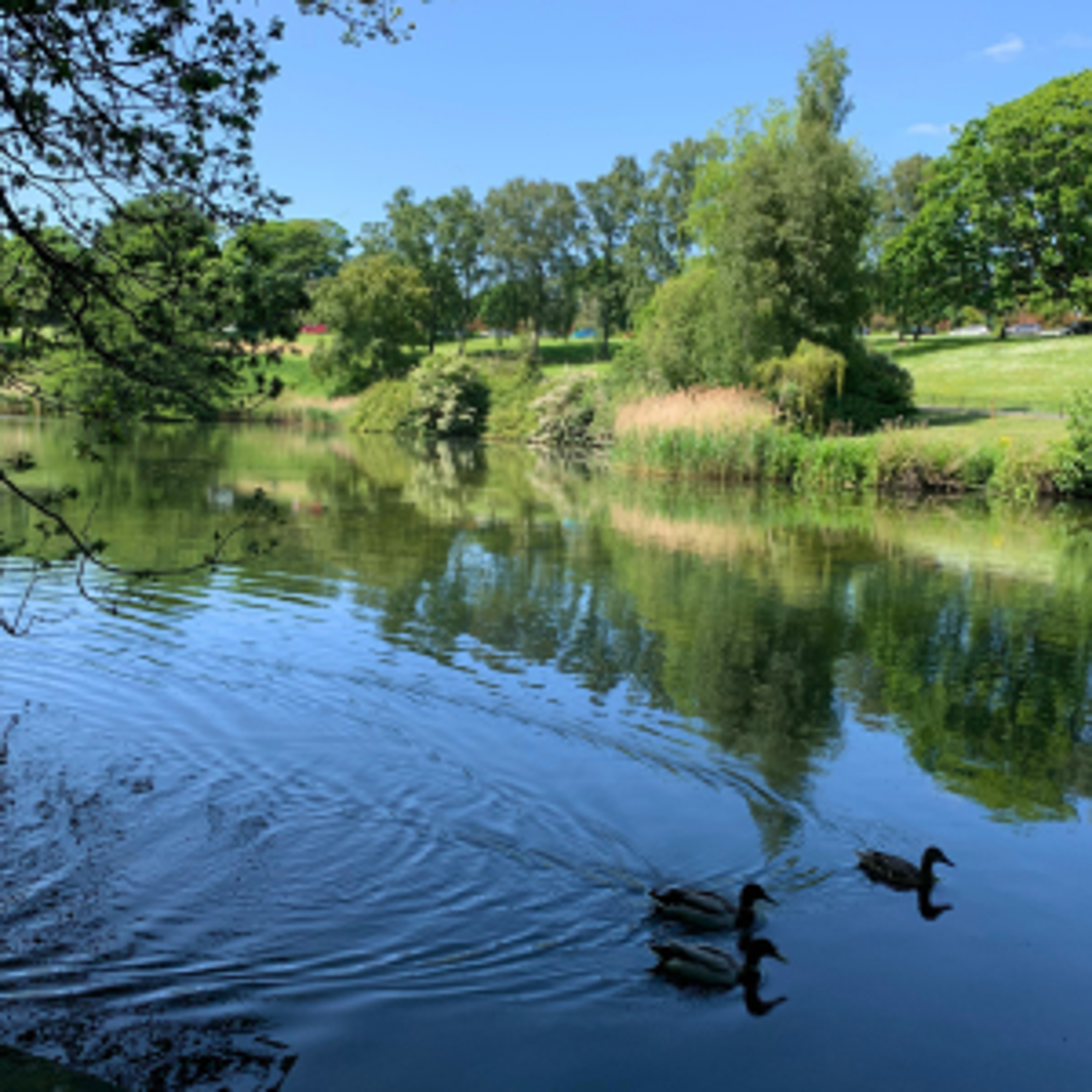 The People's Gardens in Dublin's largest park - Phoenix Park