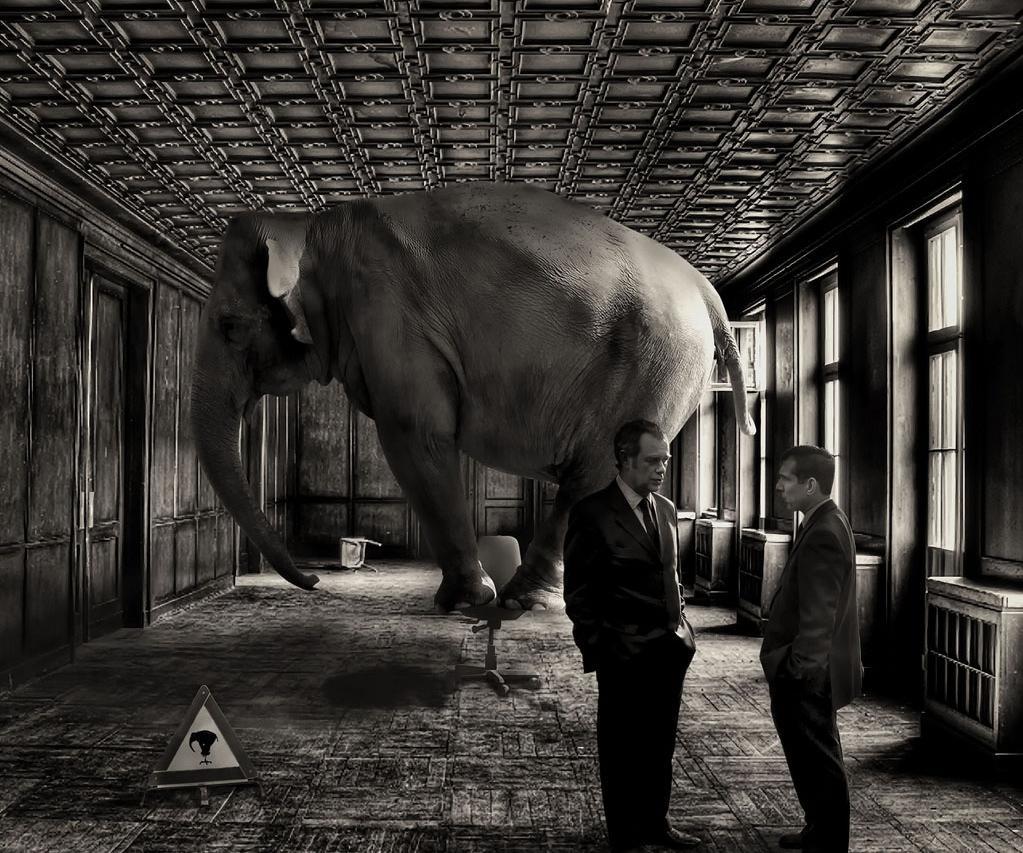 9 Animal Idioms That You Need to Know