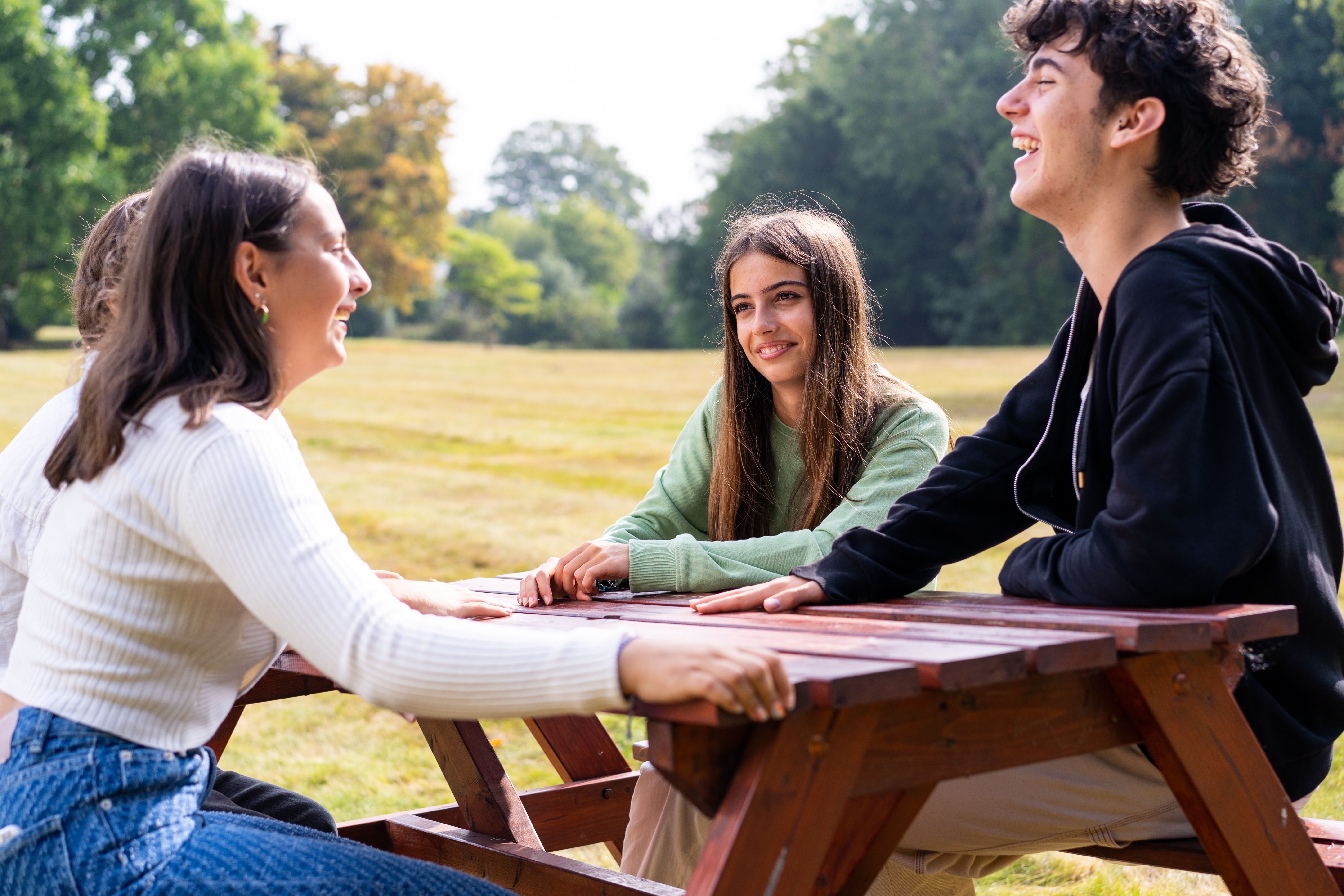 Garden benches on School