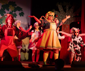 ‘It’s behind you!’: A Guide to Christmas Pantomime in the UK