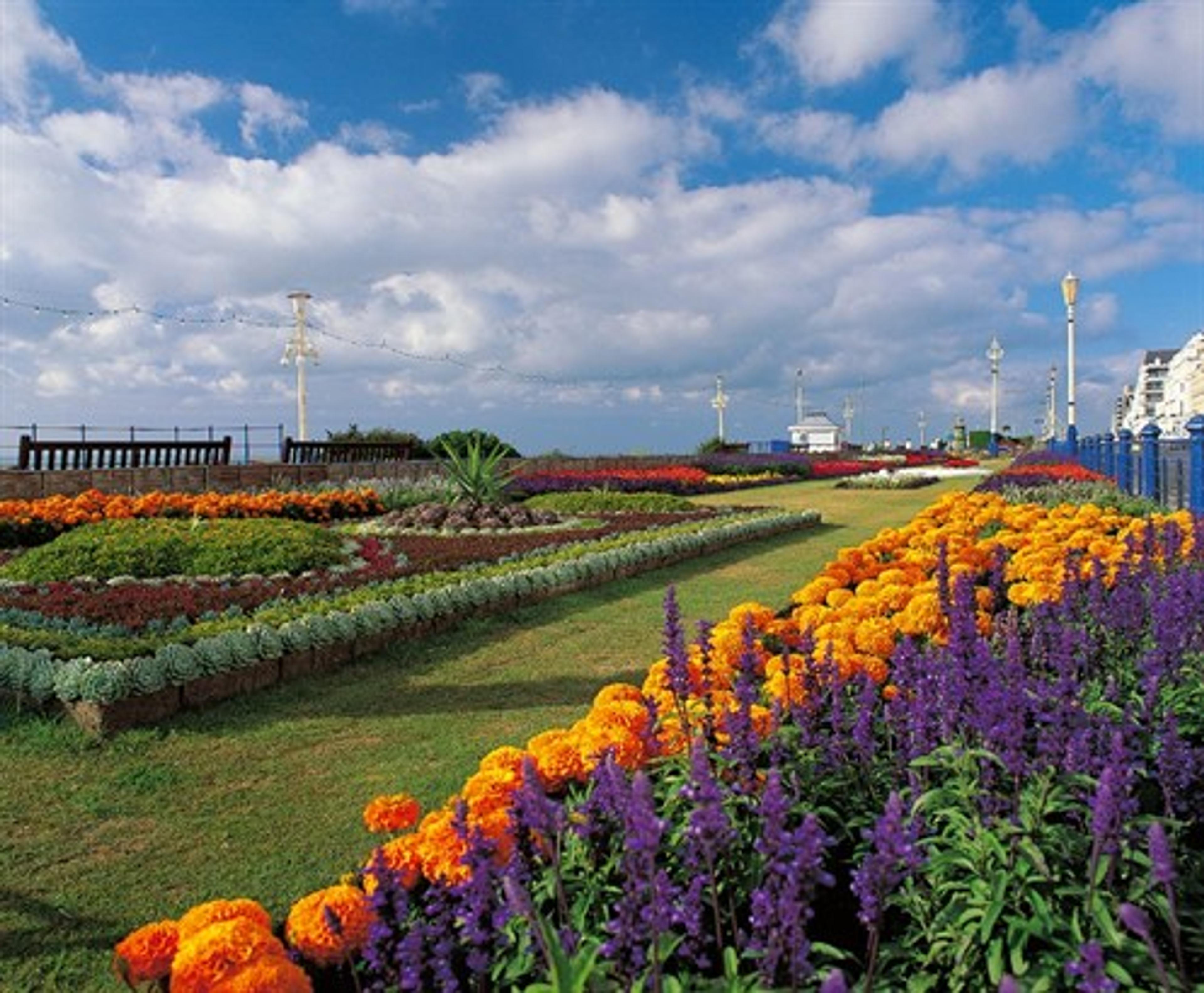 Carpet Gardens Eastbourne Frente