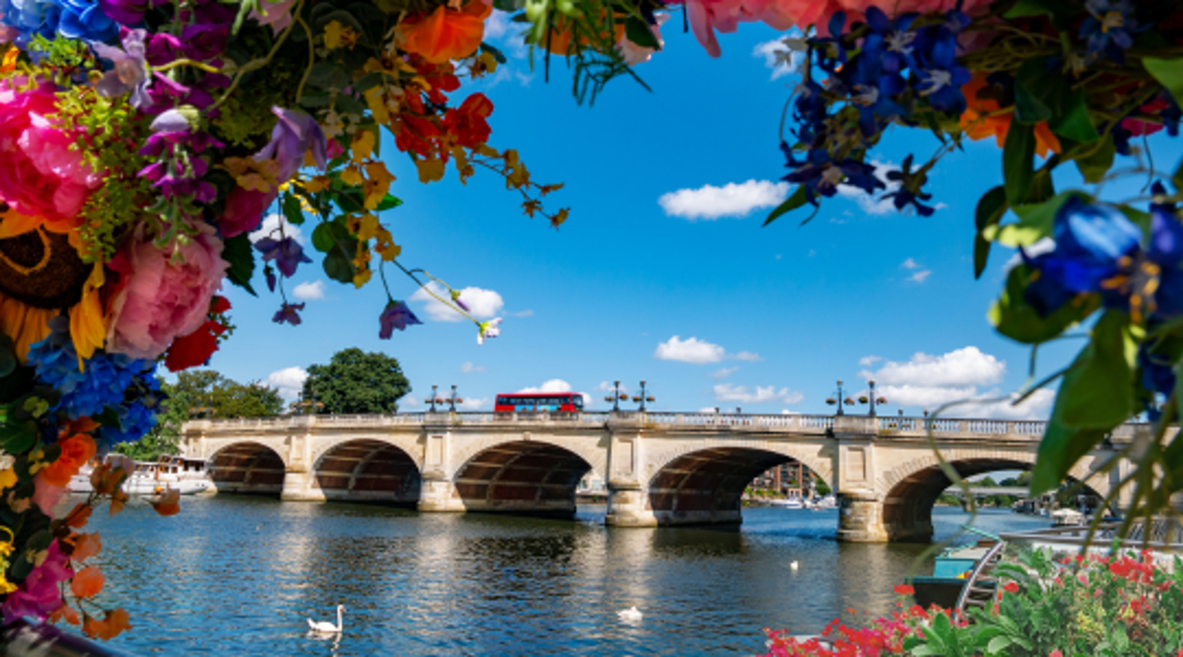 A stunning summer view of Kinston Bridge, located a short walk away from our London Kingston Summer School
