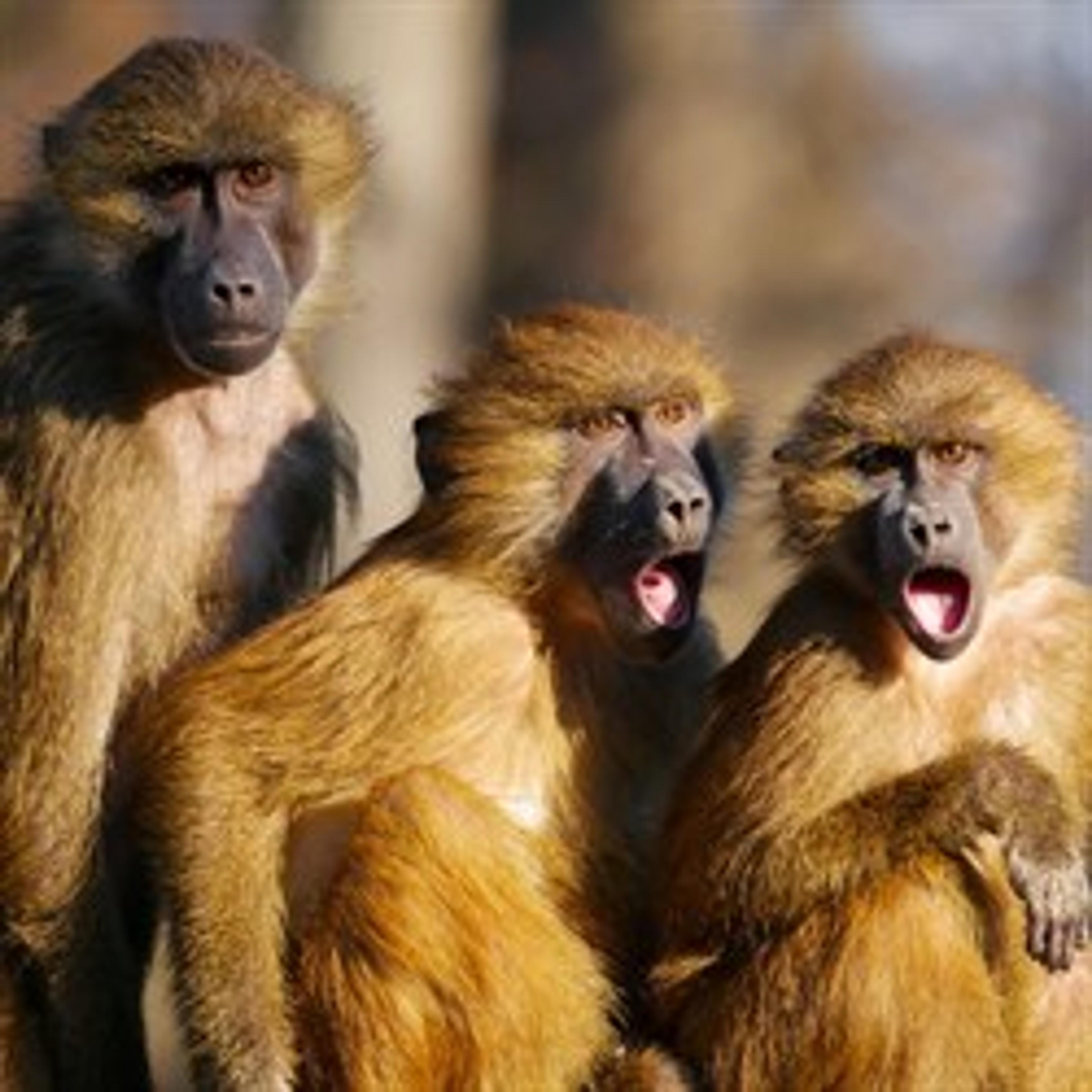 Catch Someone With Their Trousers Down