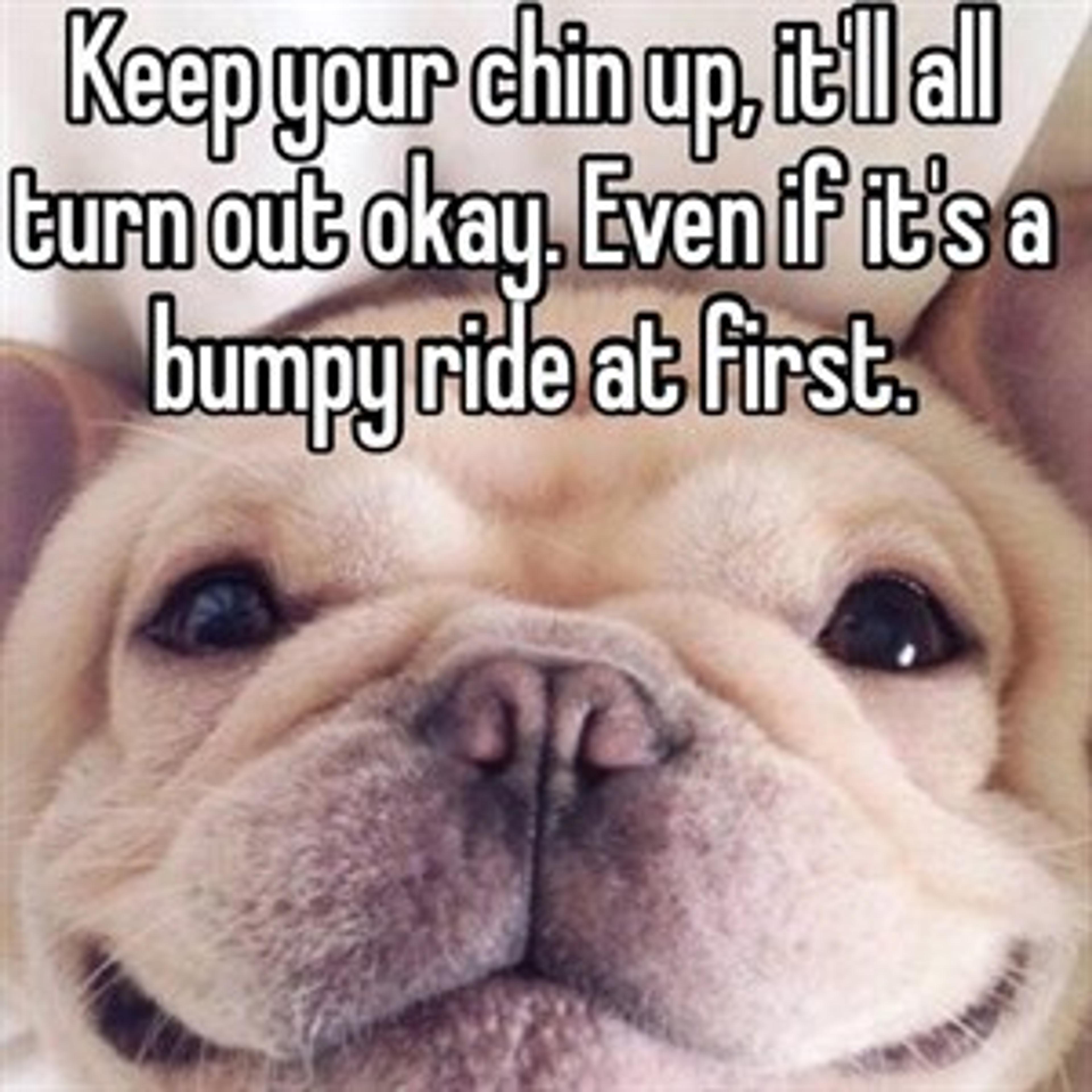 Keep Your Chin Up