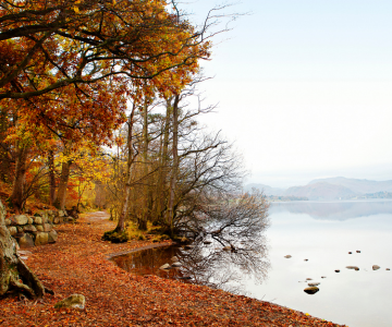 The Best Spots in England for Autumn Leaves