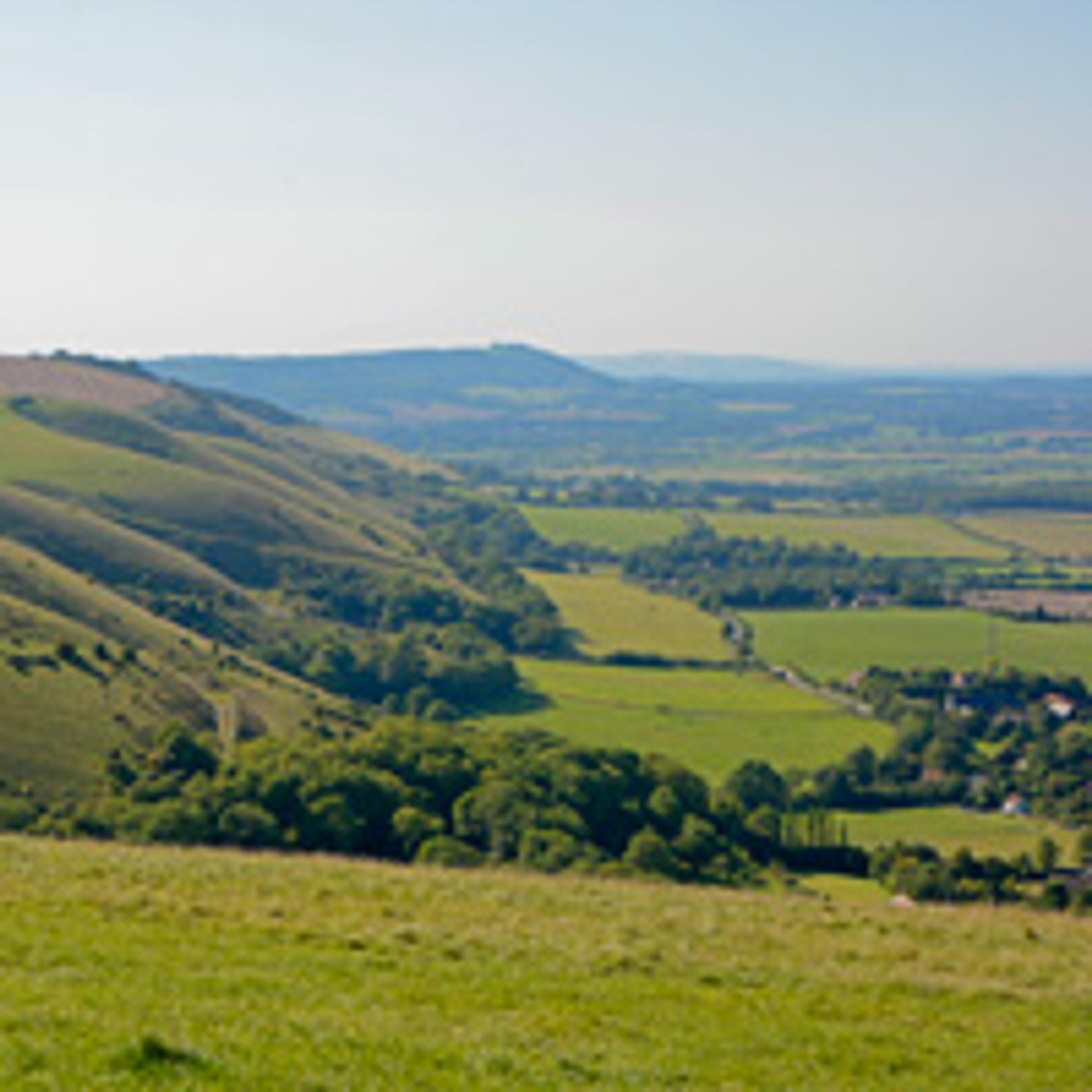 South Downs