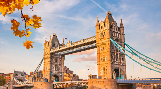 What's On In London: November