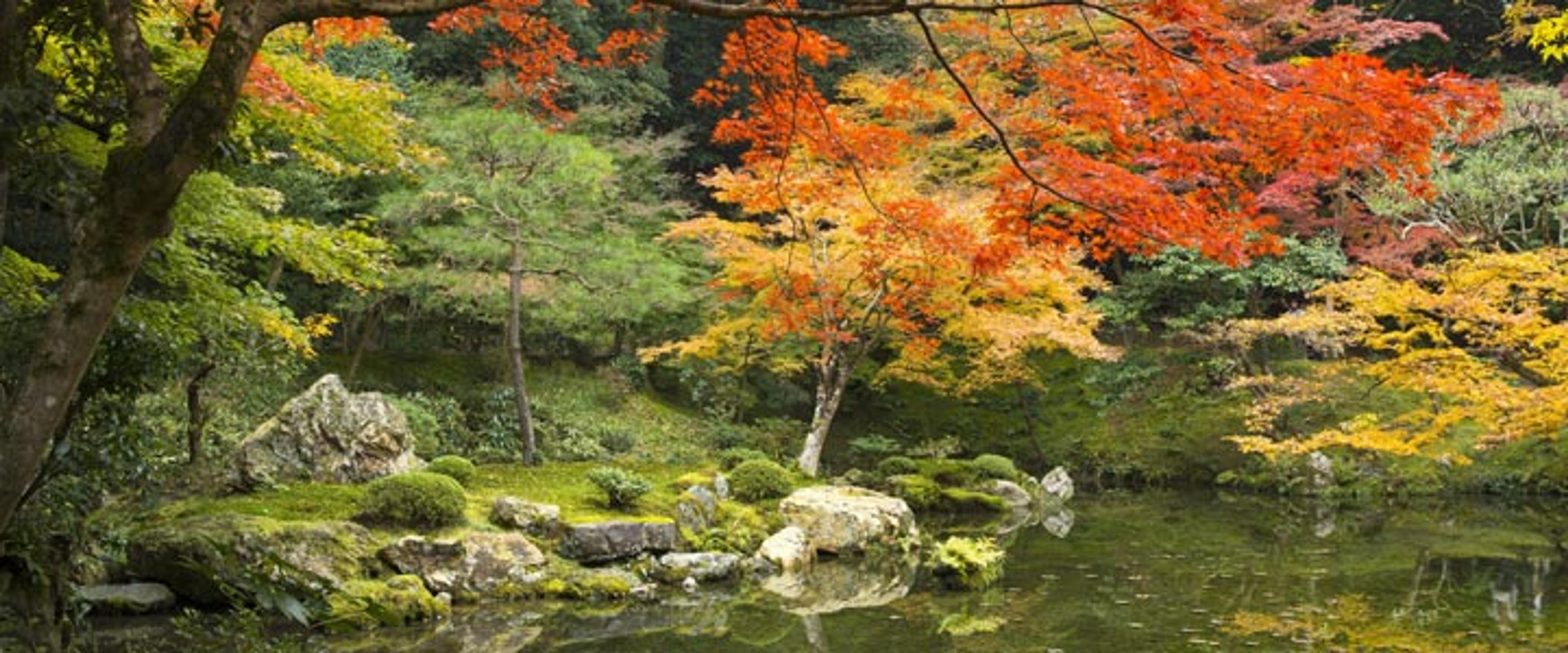 Kyoto Garden