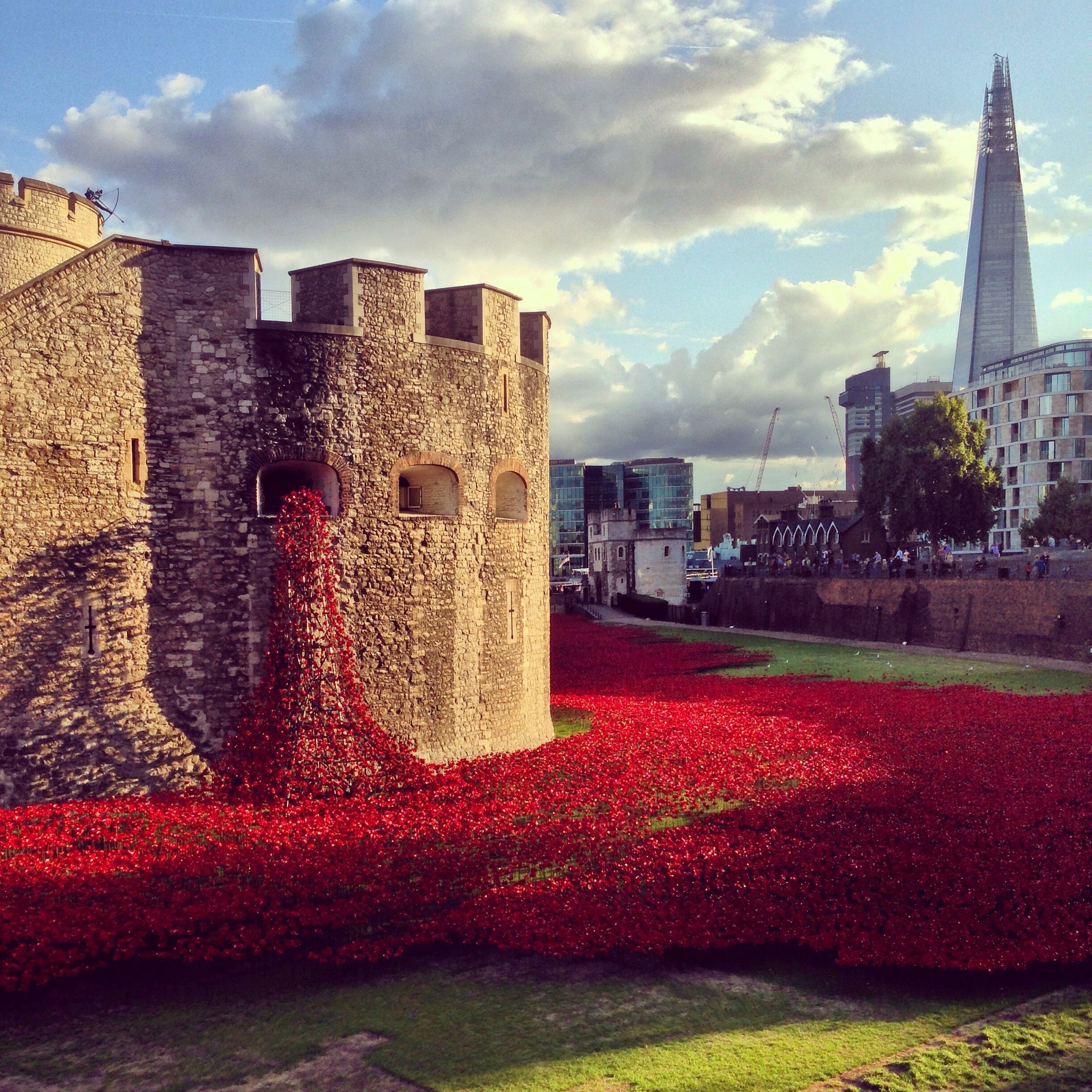 Why Do We Wear the Poppy in the UK? 