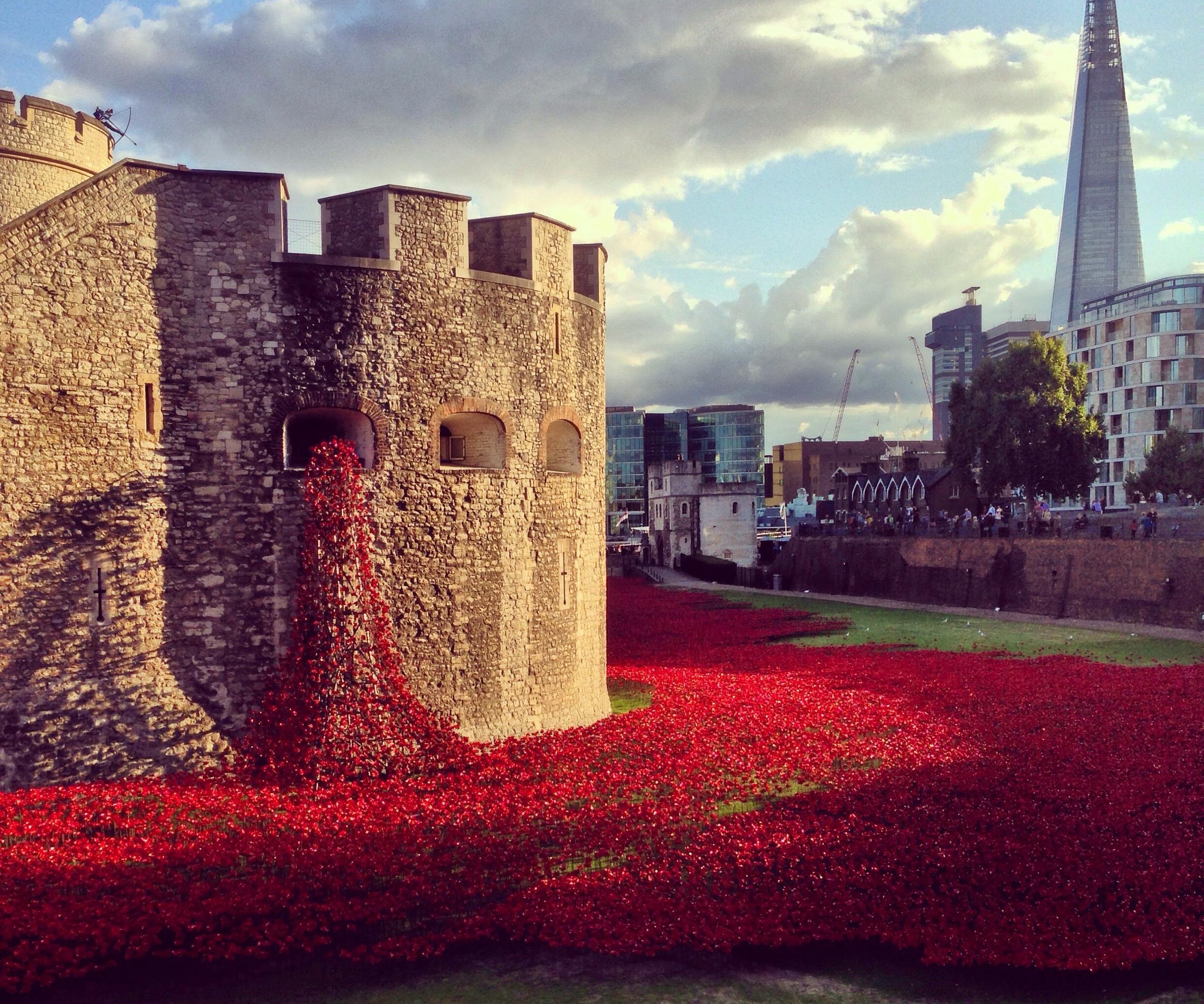 Why Do We Wear the Poppy in the UK?