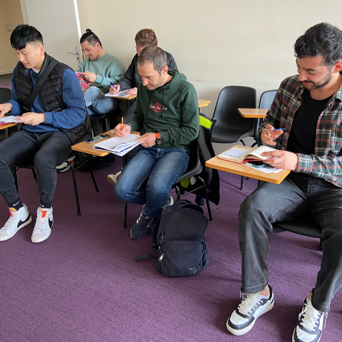 Iryna's Teaching Experience