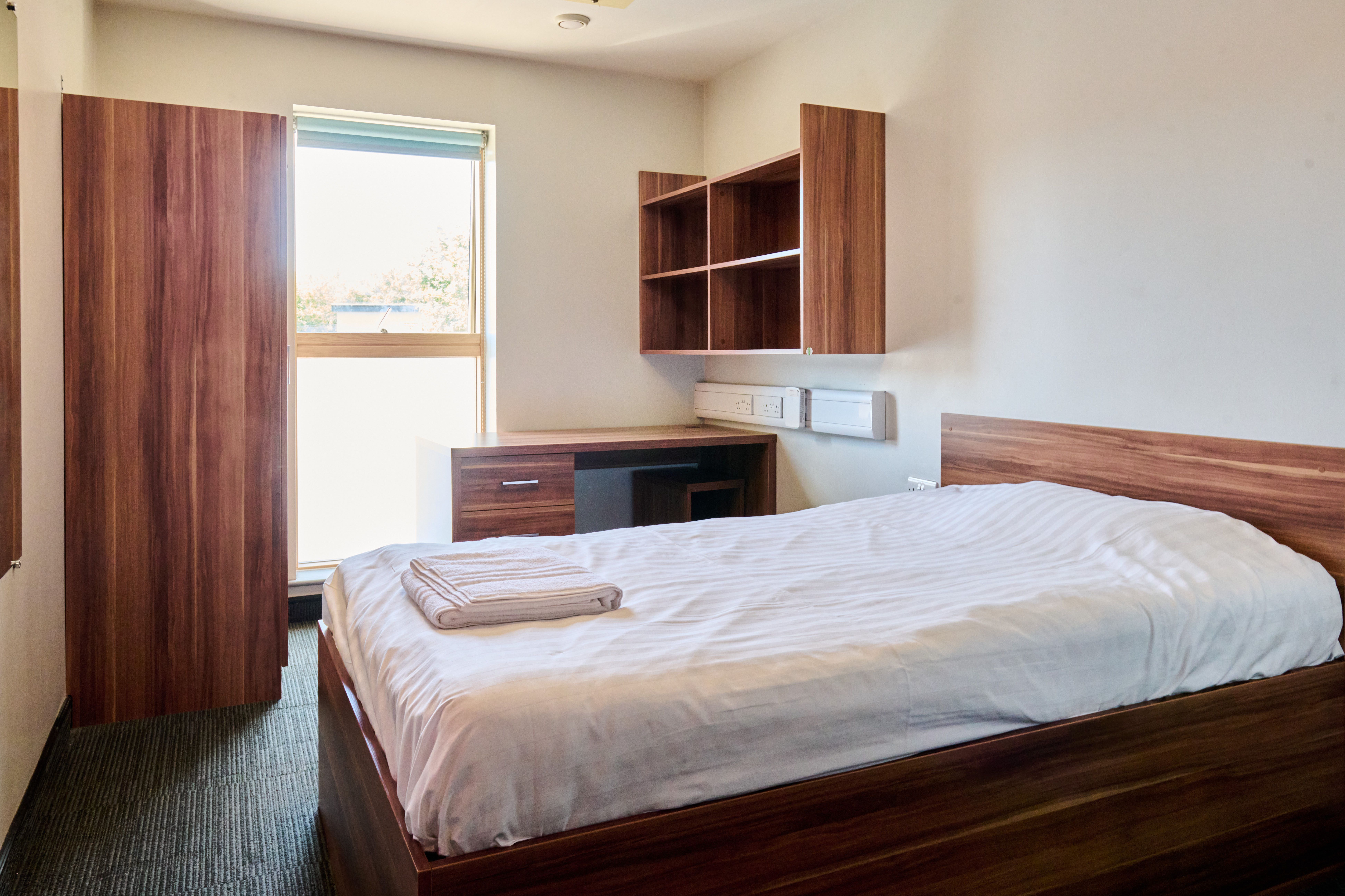 SIngle Room