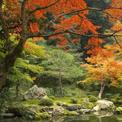 London’s Best Parks