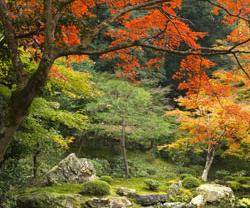 London’s Best Parks