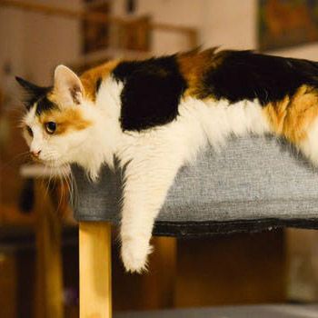 15 English Idioms You Can Use When Studying English