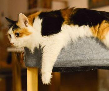 15 English Idioms You Can Use When Studying English