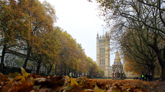 10 Autumn Phrases in English 
