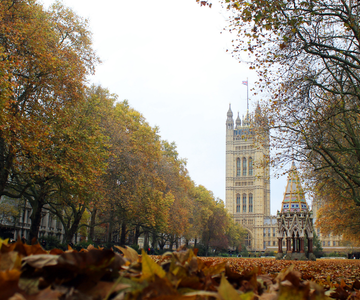 10 Autumn Phrases in English