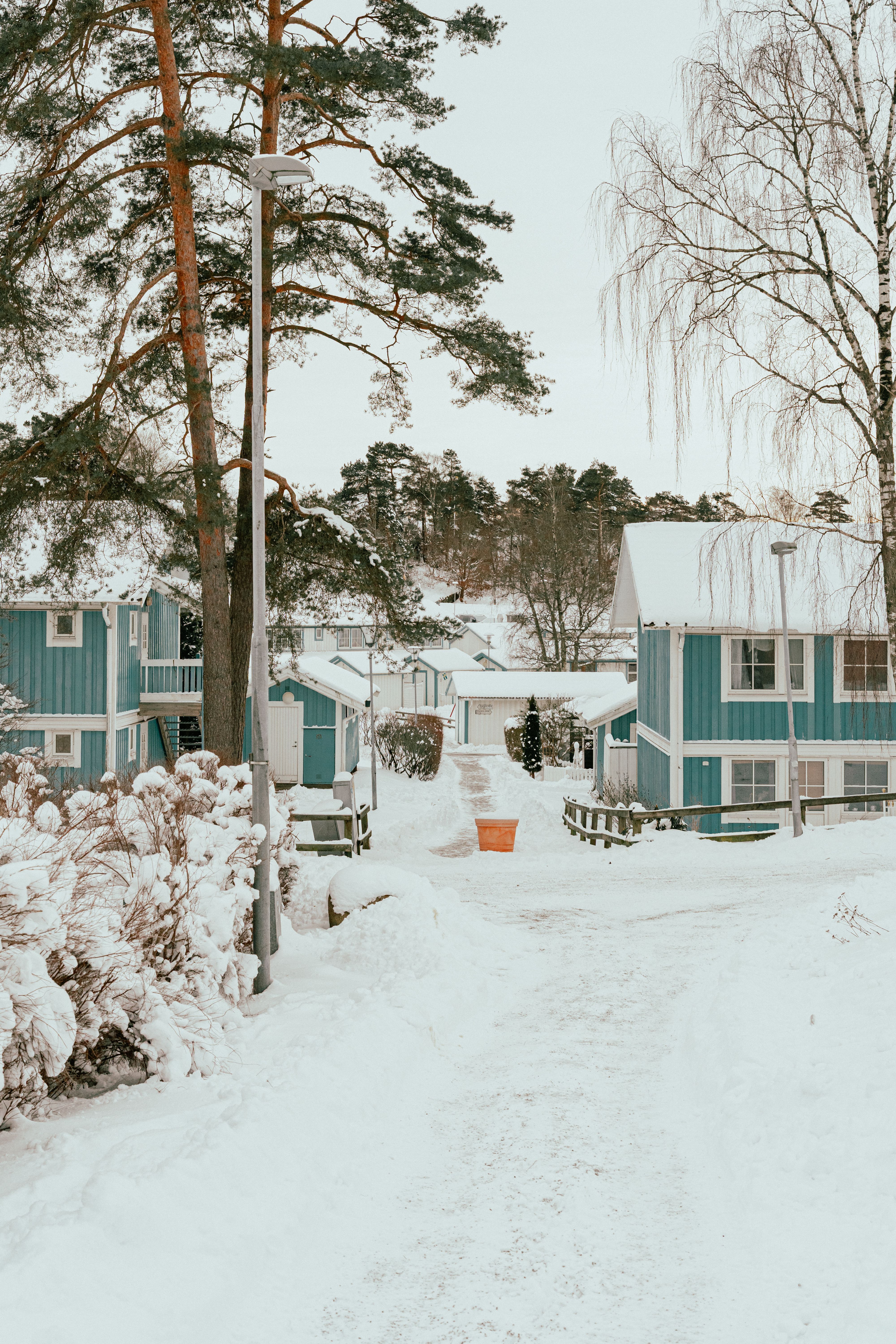 En snöig gata med hus i bakgrunden, med snö på taken