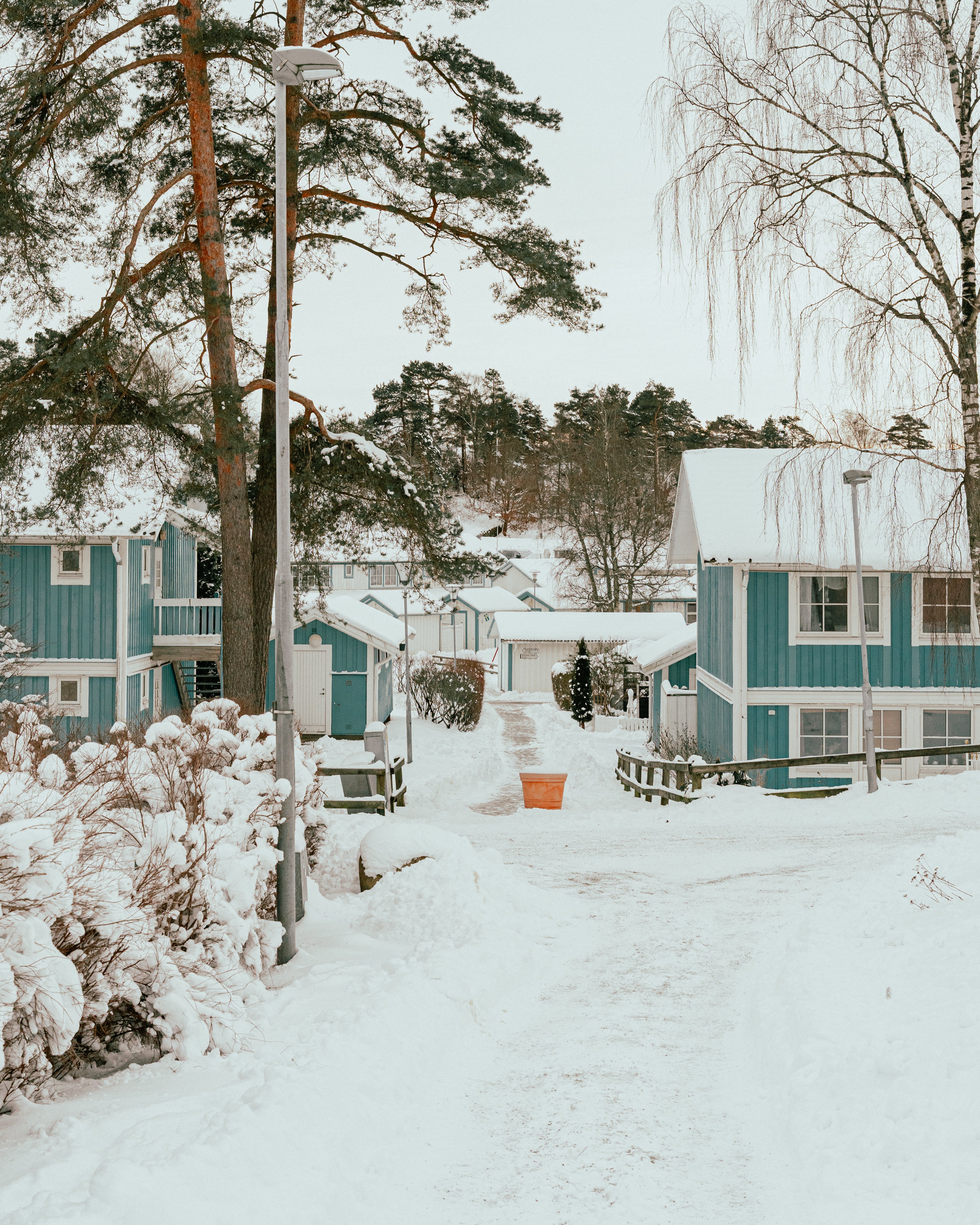 En snöig gata med hus i bakgrunden, med snö på taken