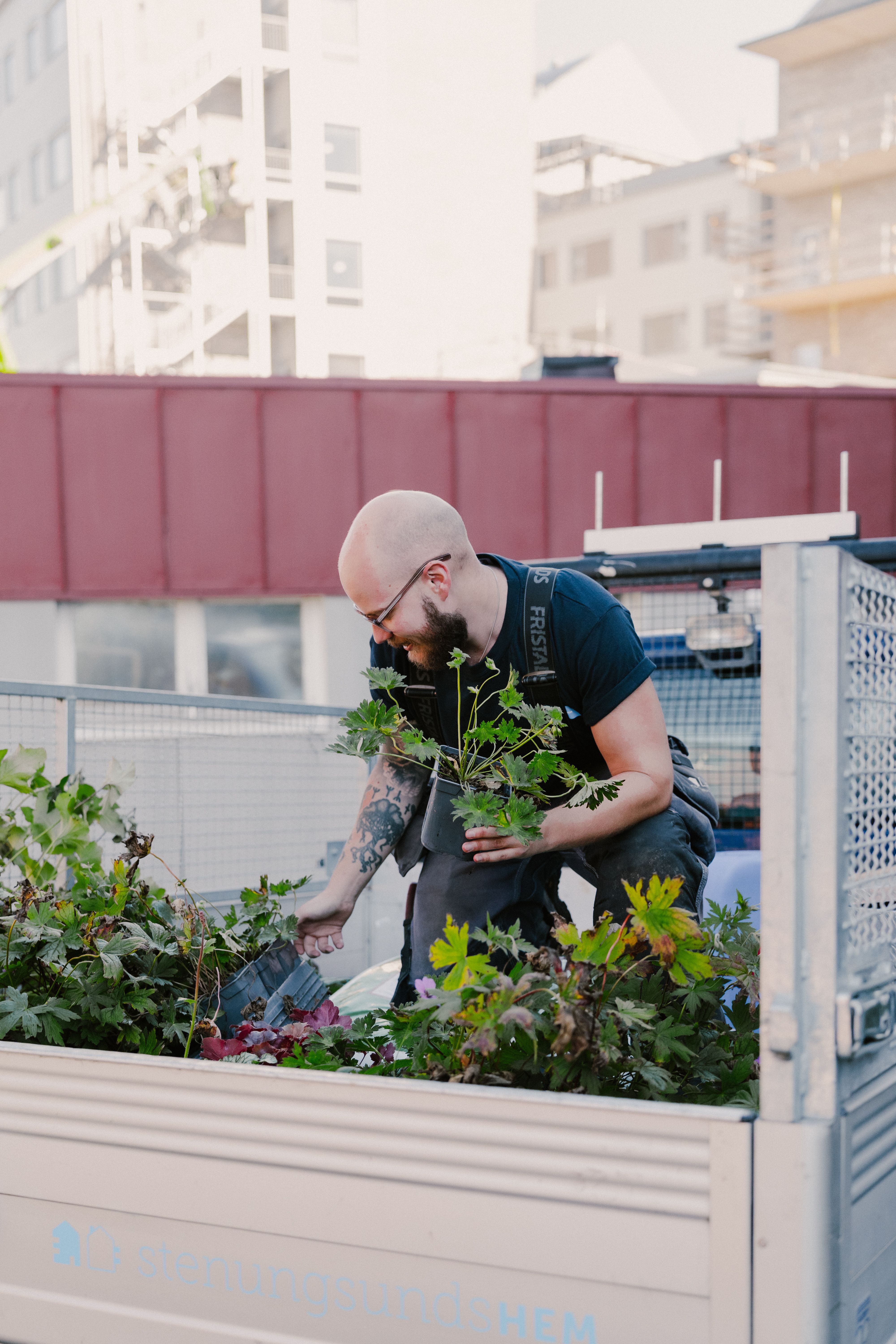 En man på ett bilflak håller i växter