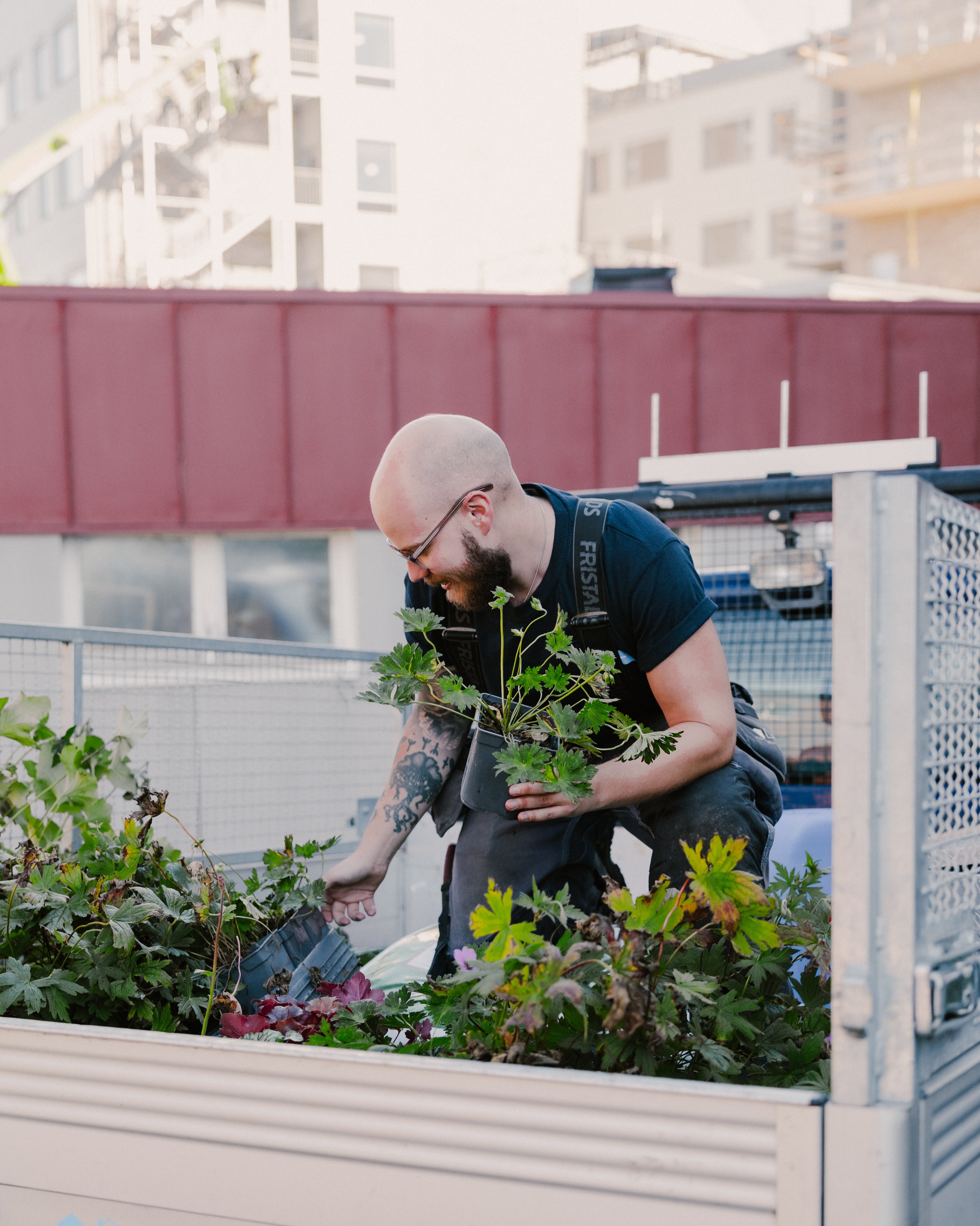 En man på ett bilflak håller i växter