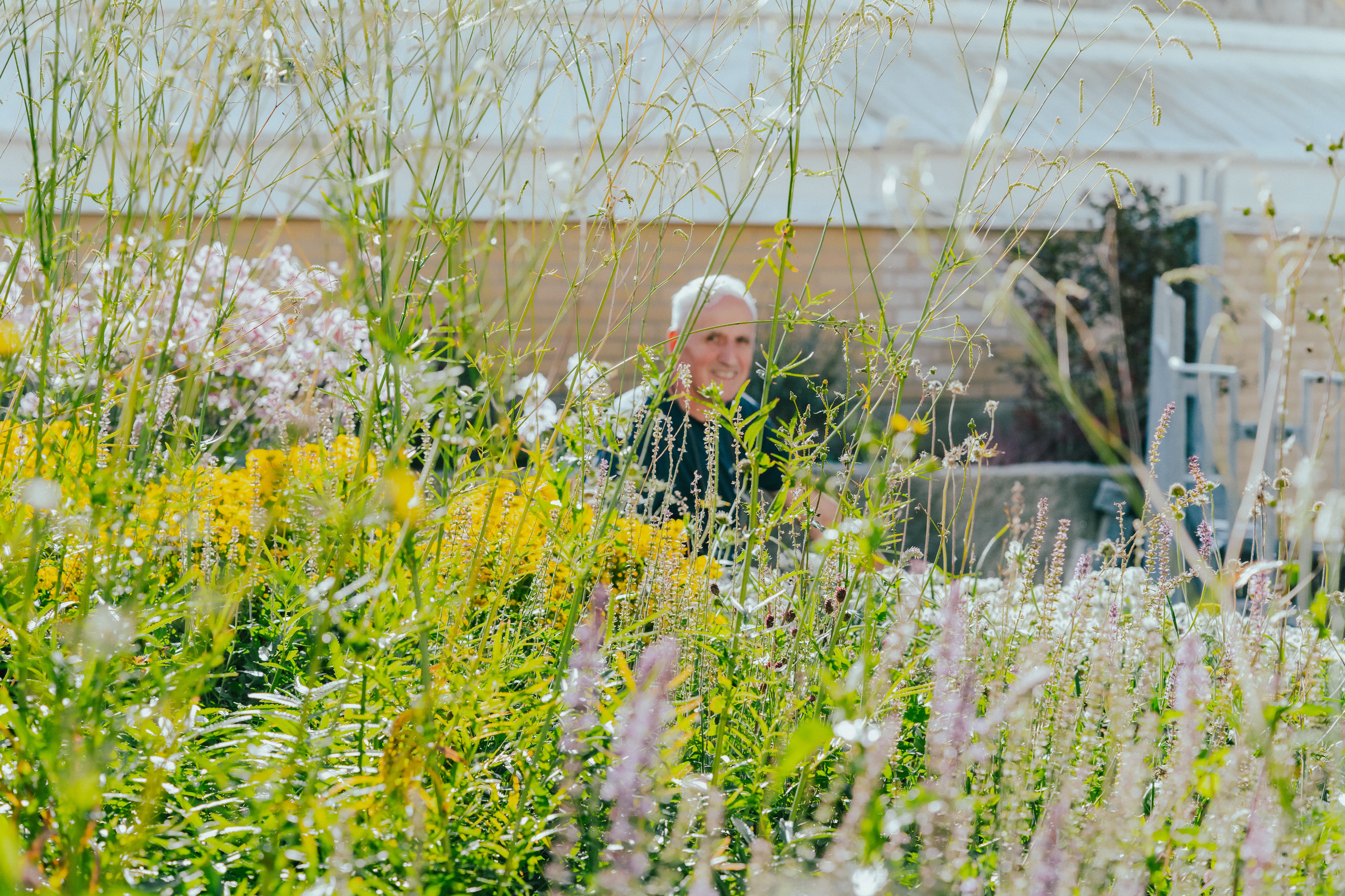 En man sitter omgiven av blommor