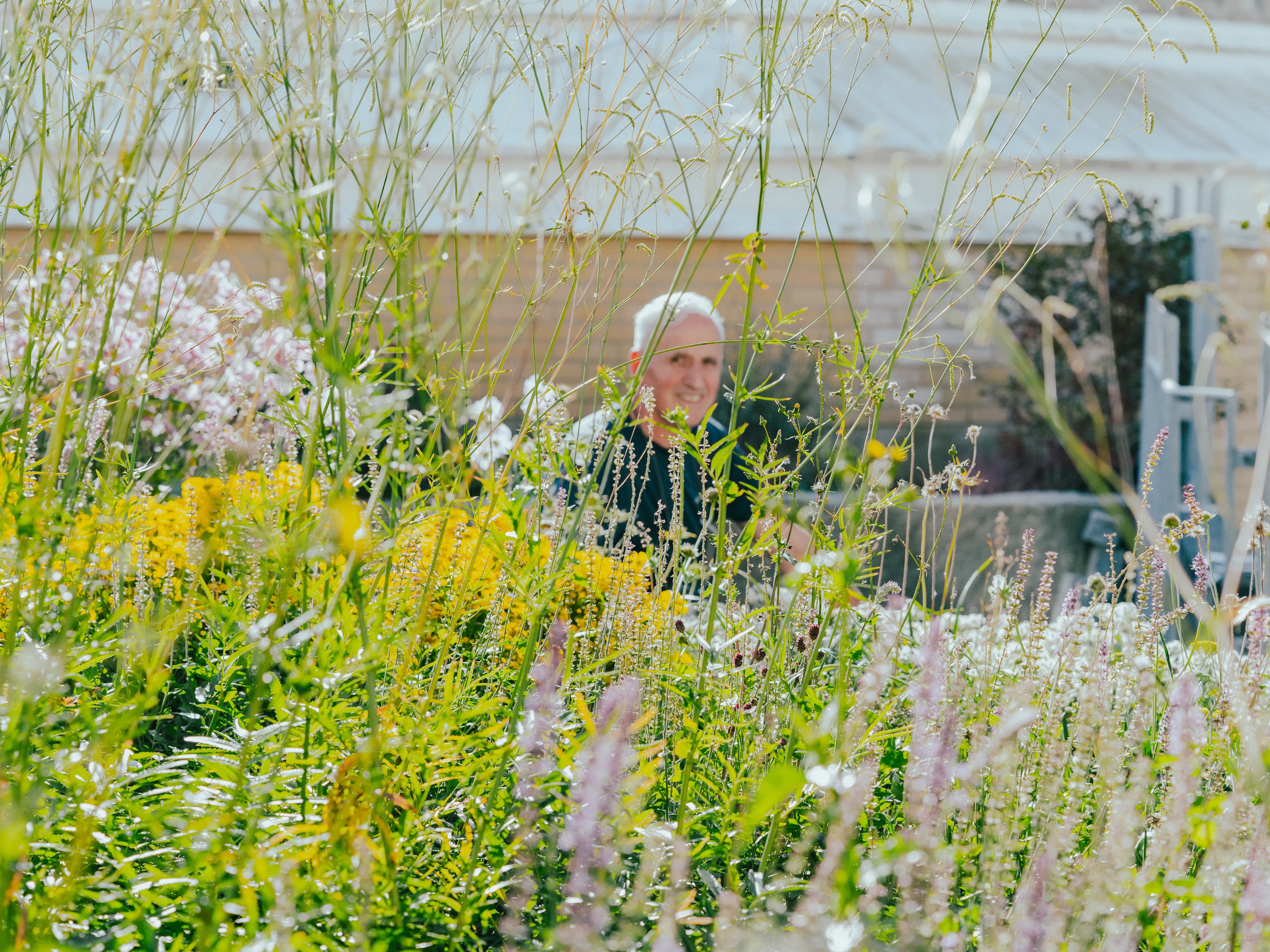 En man sitter omgiven av blommor