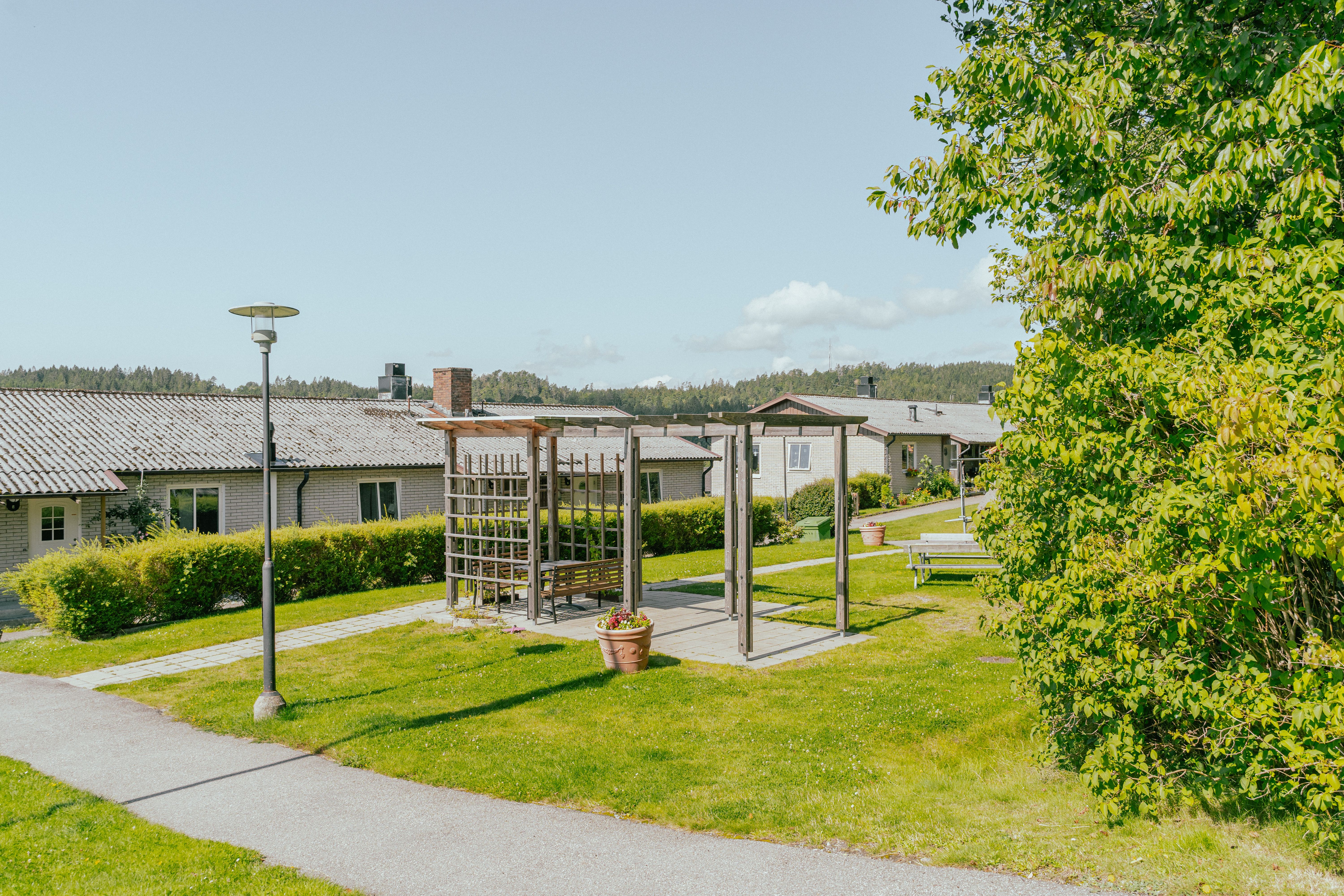 En gemensam uteplats med spaljétak mellan hus och grönska