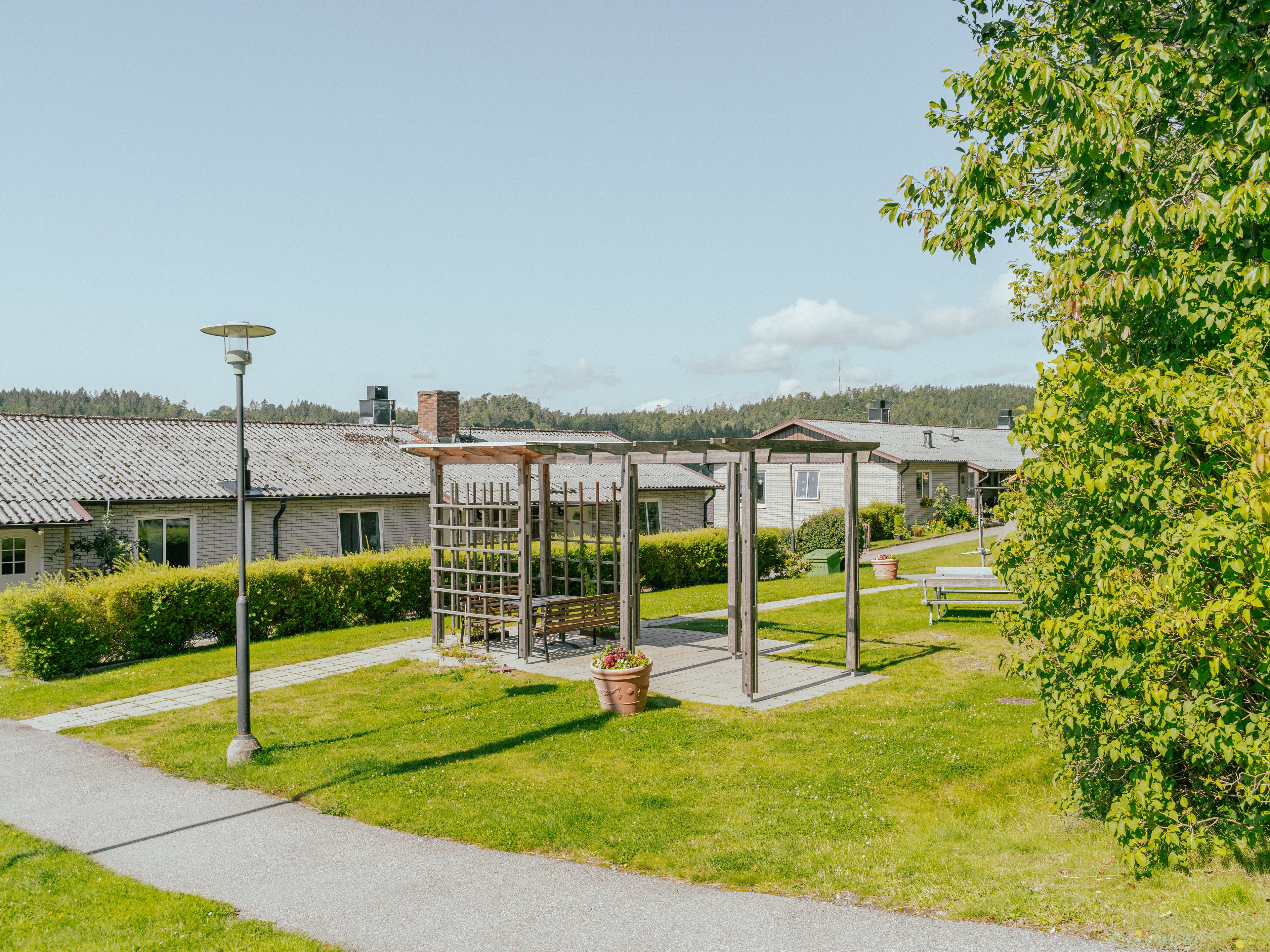 En gemensam uteplats med spaljétak mellan hus och grönska