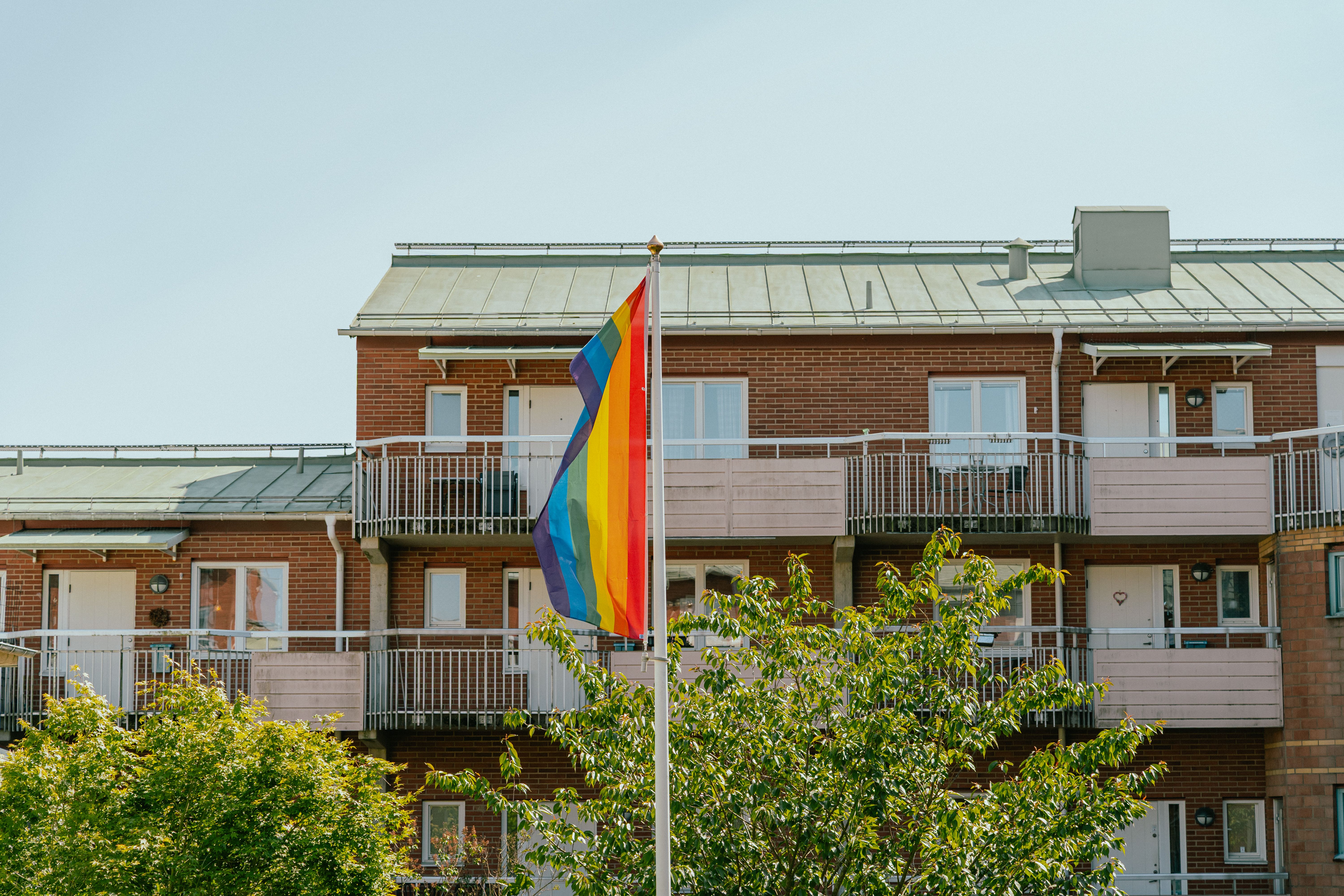 En regnbågsflagga framför en flervåningsbyggnad