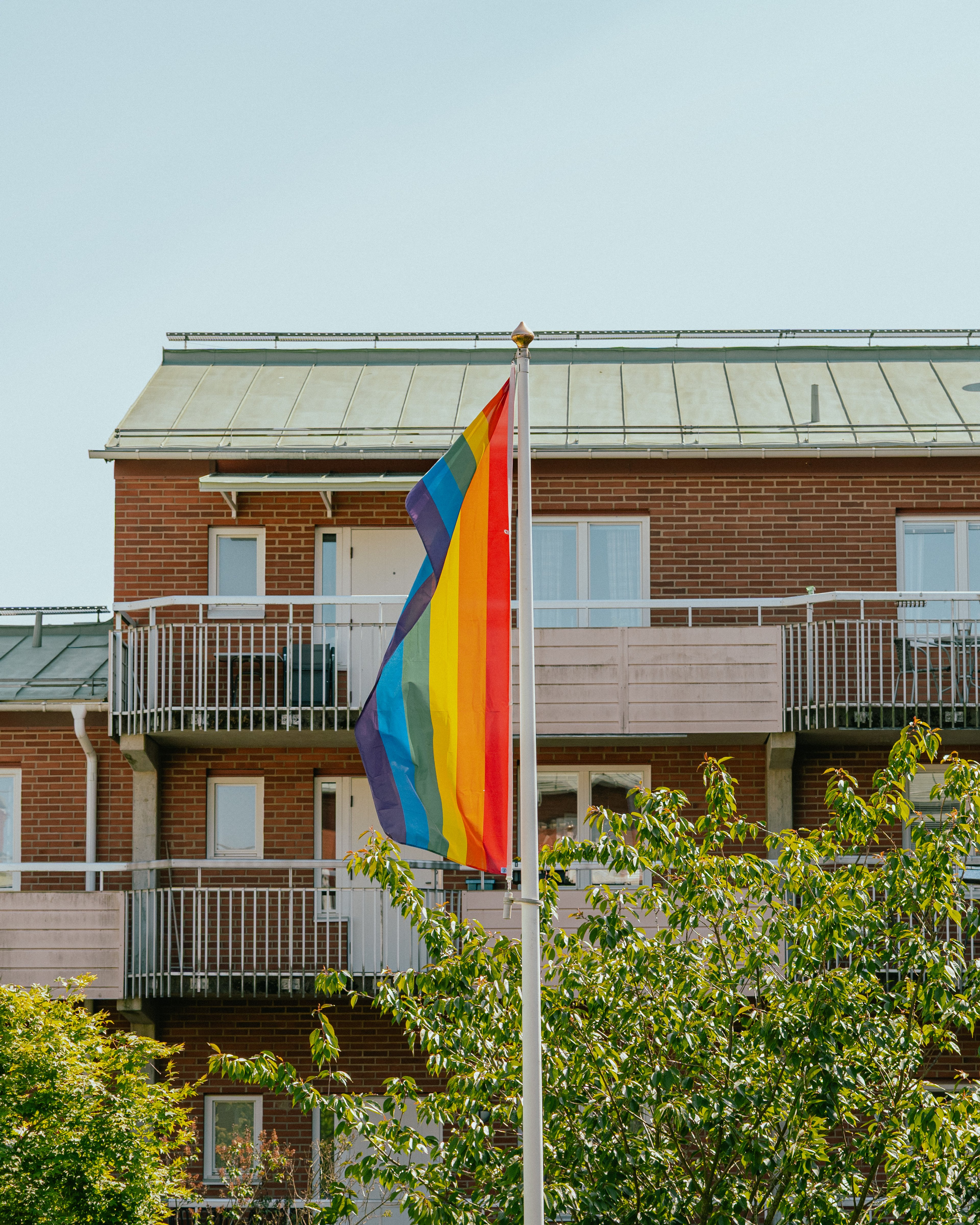 En regnbågsflagga framför en flervåningsbyggnad