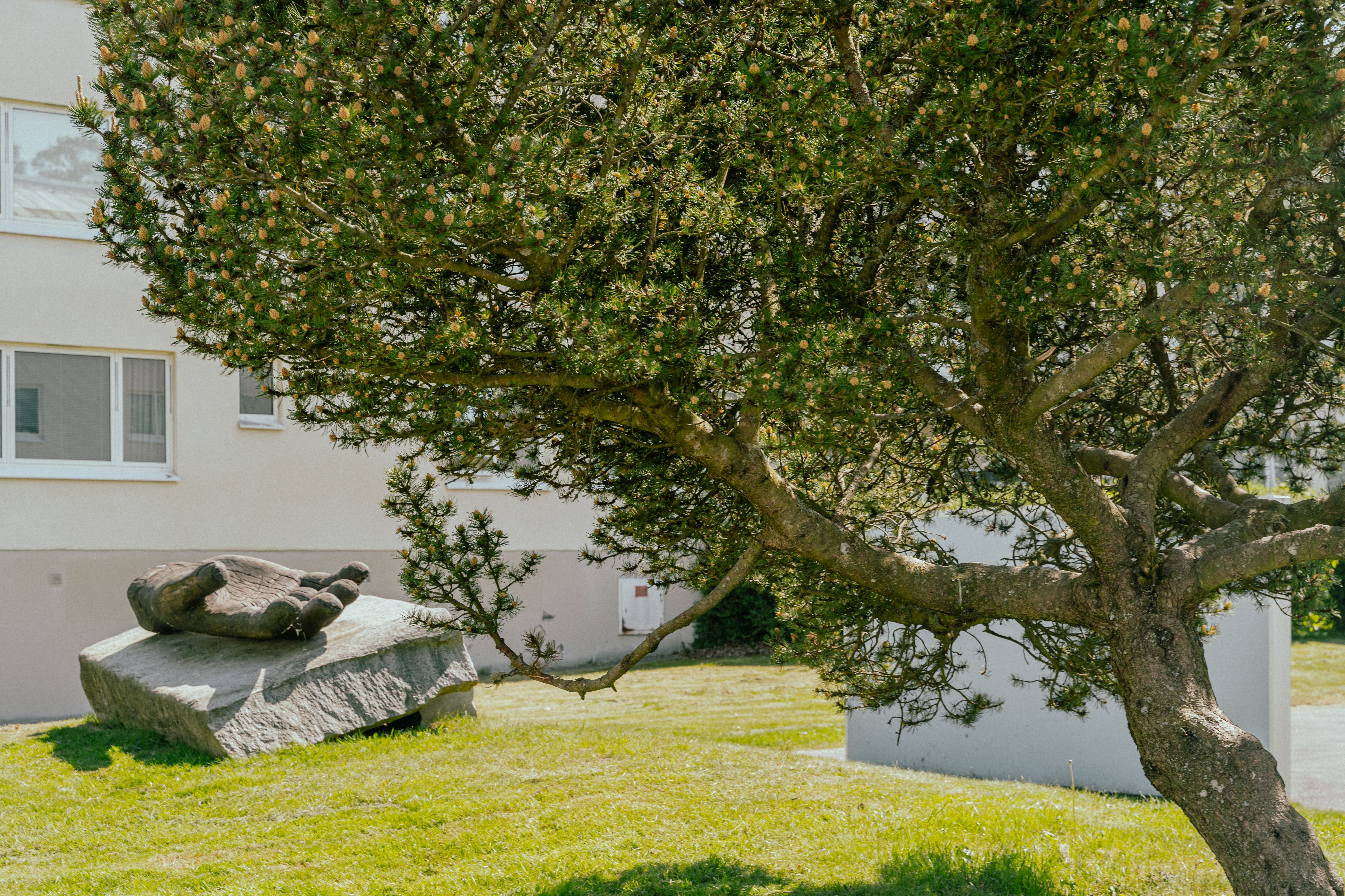 Ett konstverk i trä som ser ut som en stor hand placerad på ett stenblock på gräsmatta