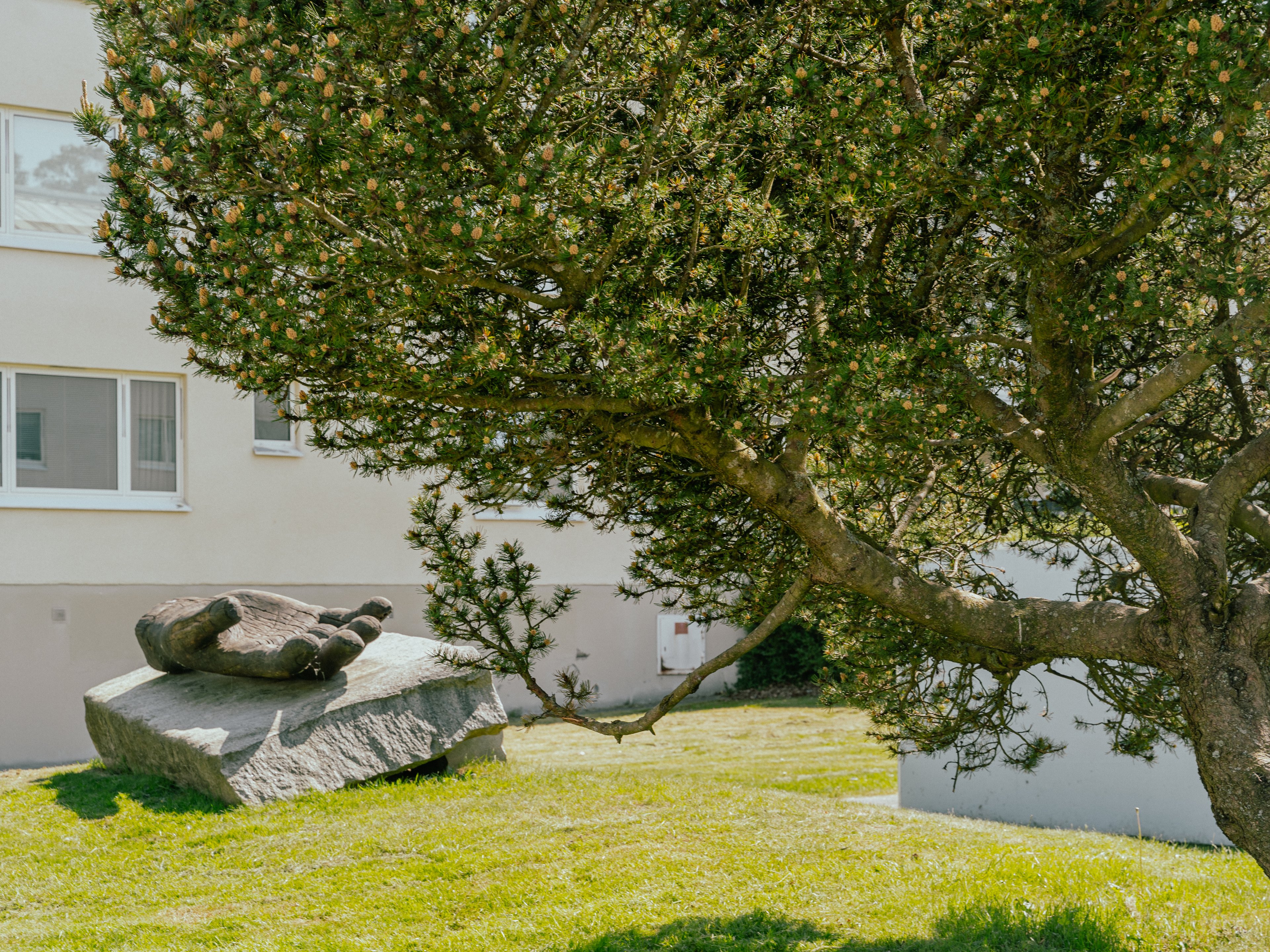 Ett konstverk i trä som ser ut som en stor hand placerad på ett stenblock på gräsmatta