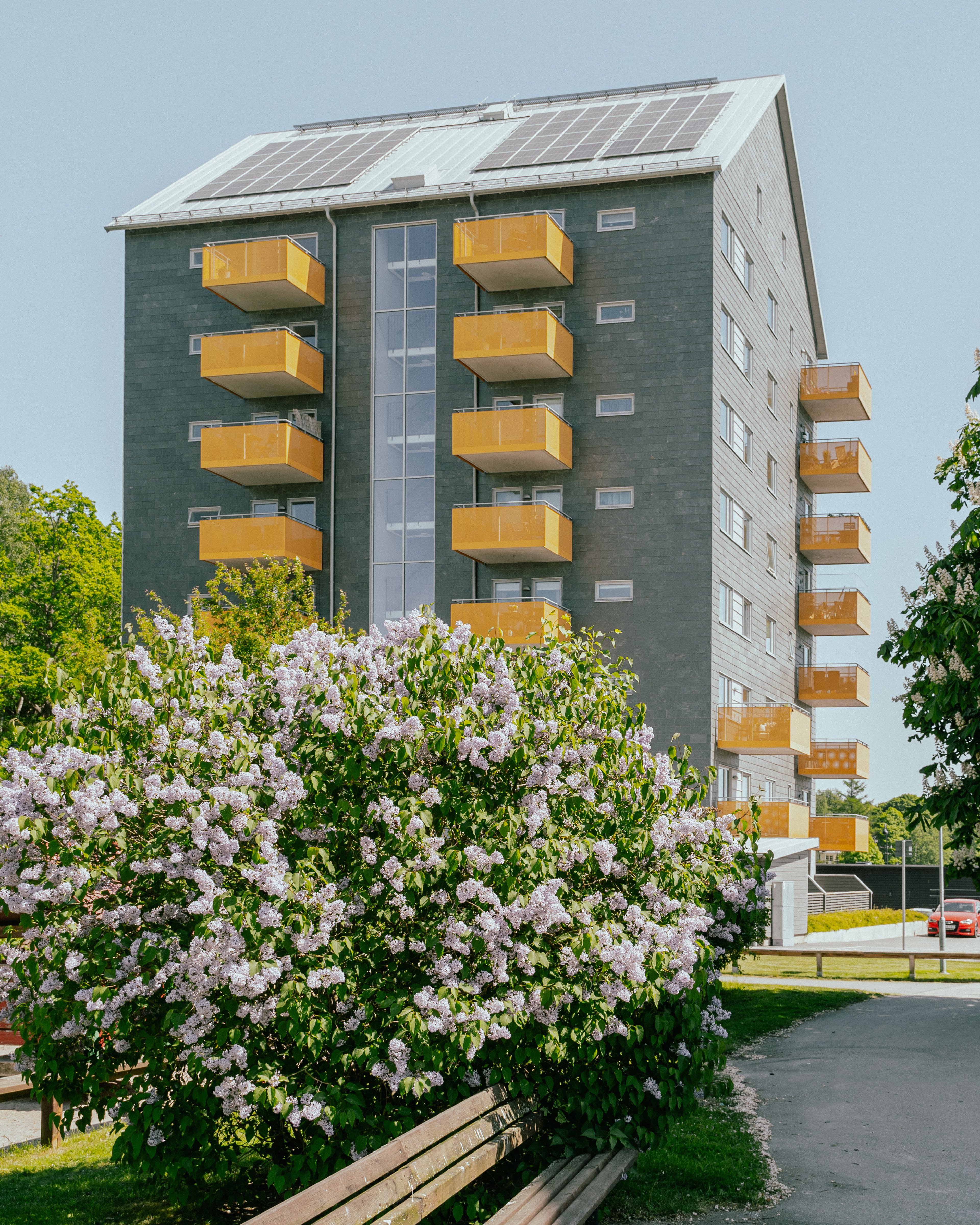 Ett åttavåningshus som bitvis skyms av en blommande buske