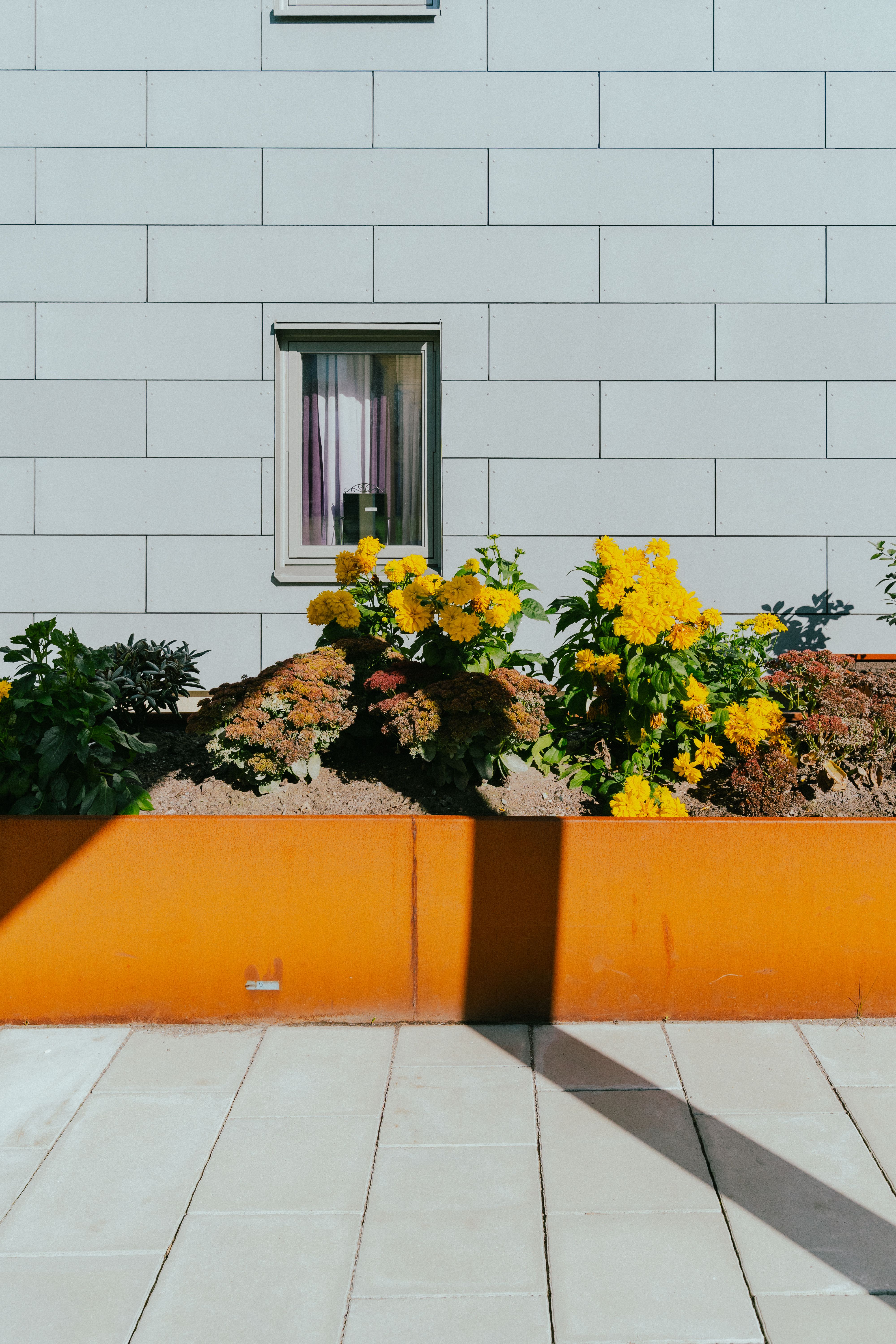 En rabatt med blommor