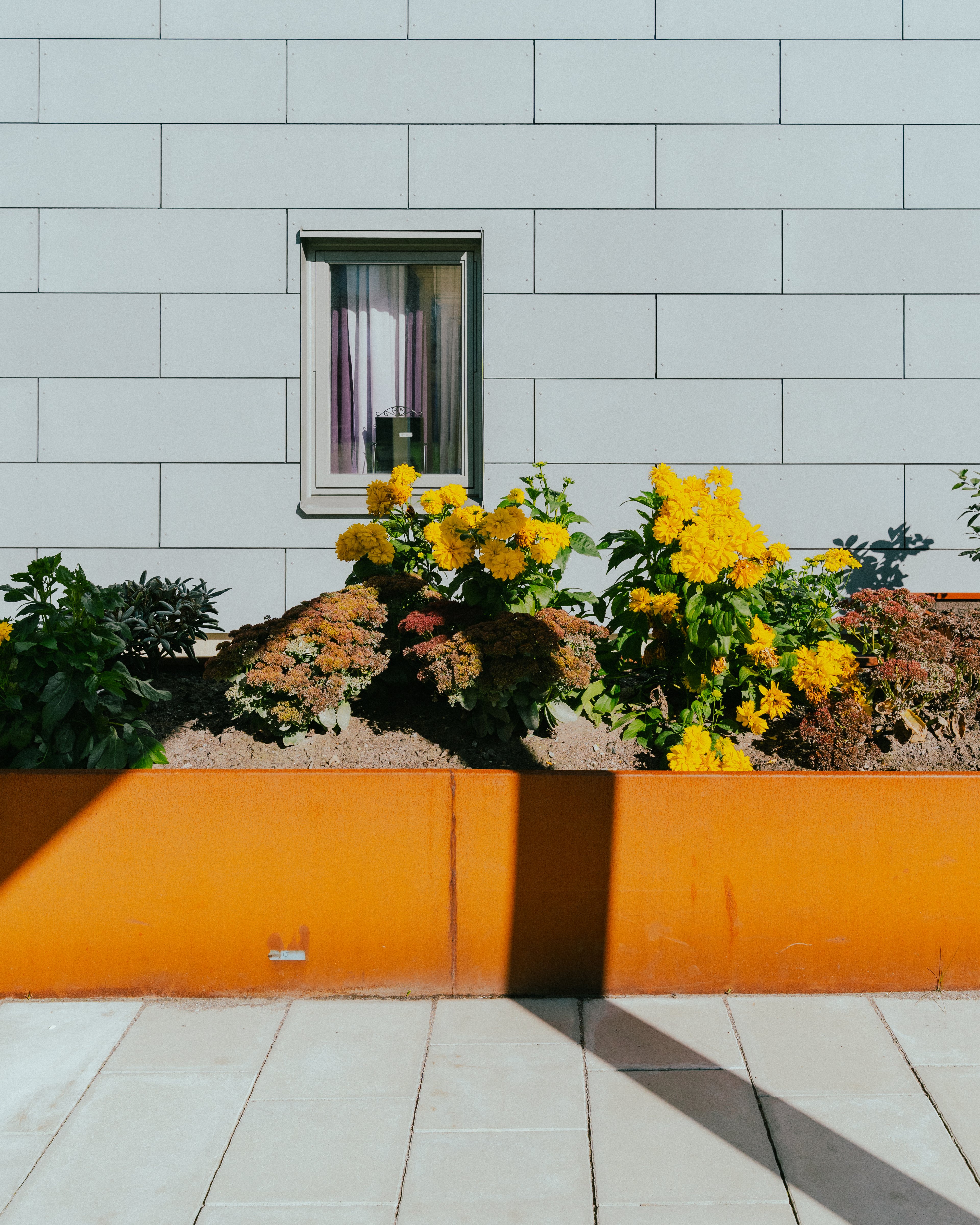 En rabatt med blommor