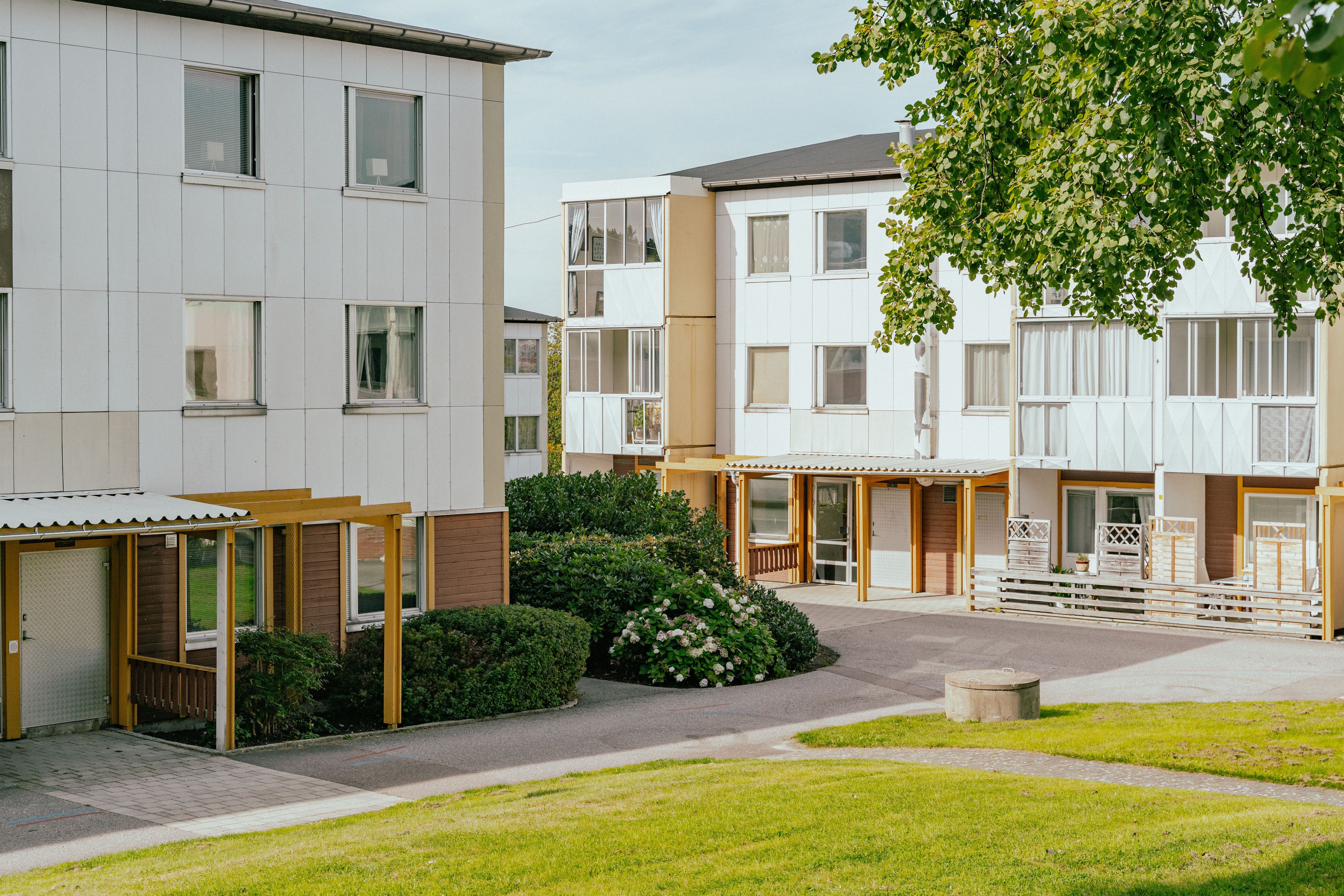 En gårds-yta mellan hus med gräs och buskar och ett träd