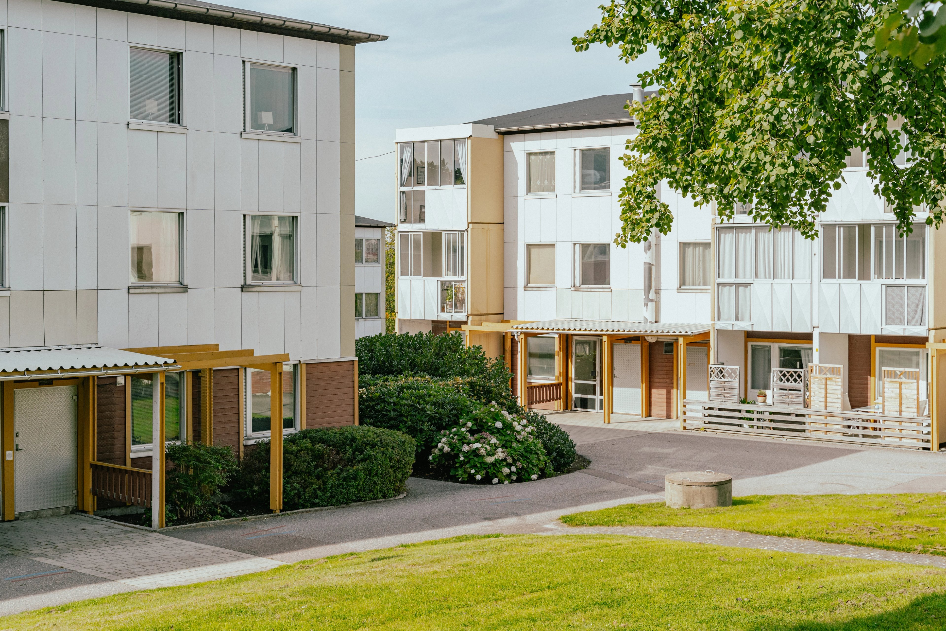 En gårds-yta mellan hus med gräs och buskar och ett träd