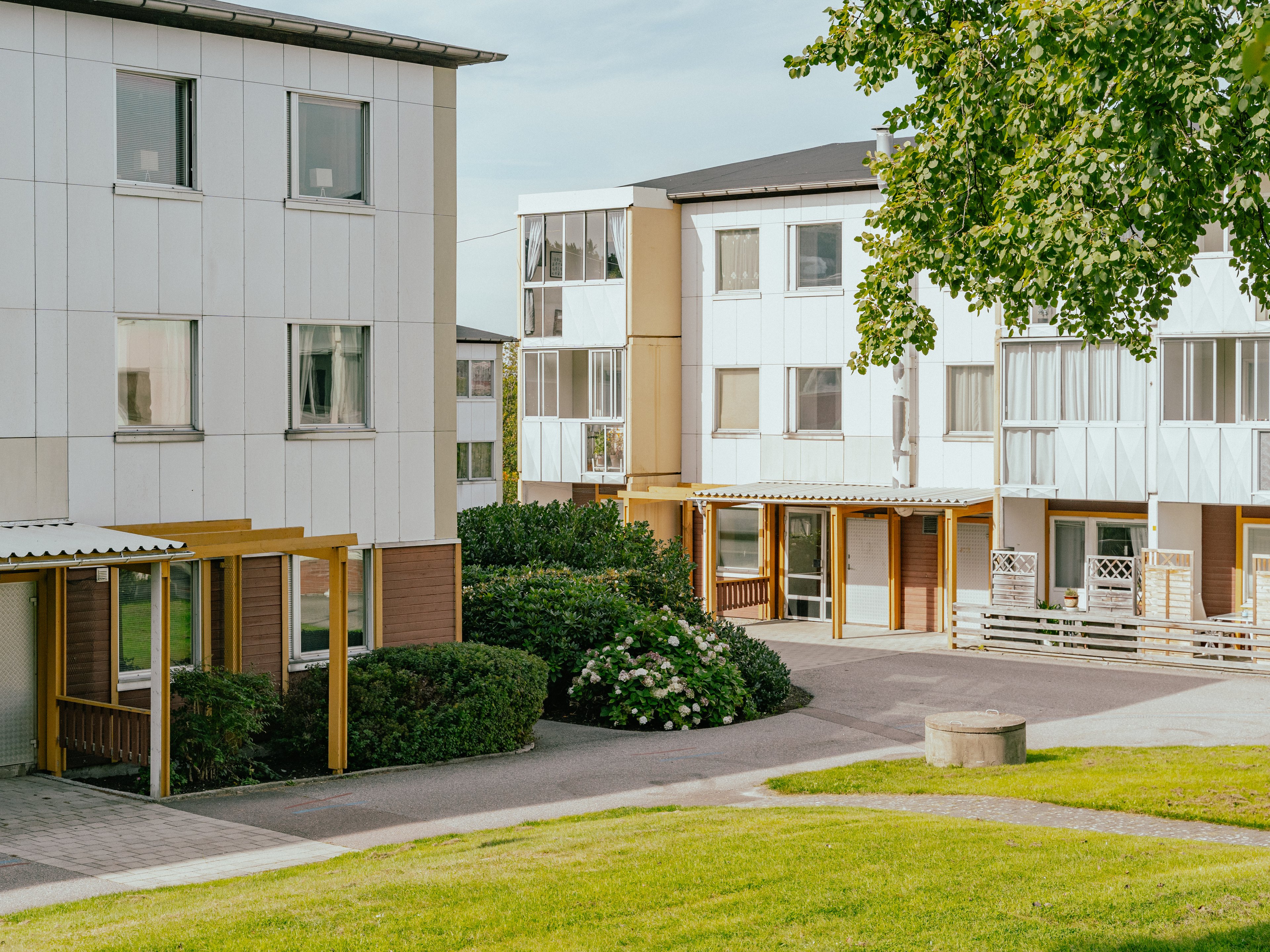 En gårds-yta mellan hus med gräs och buskar och ett träd