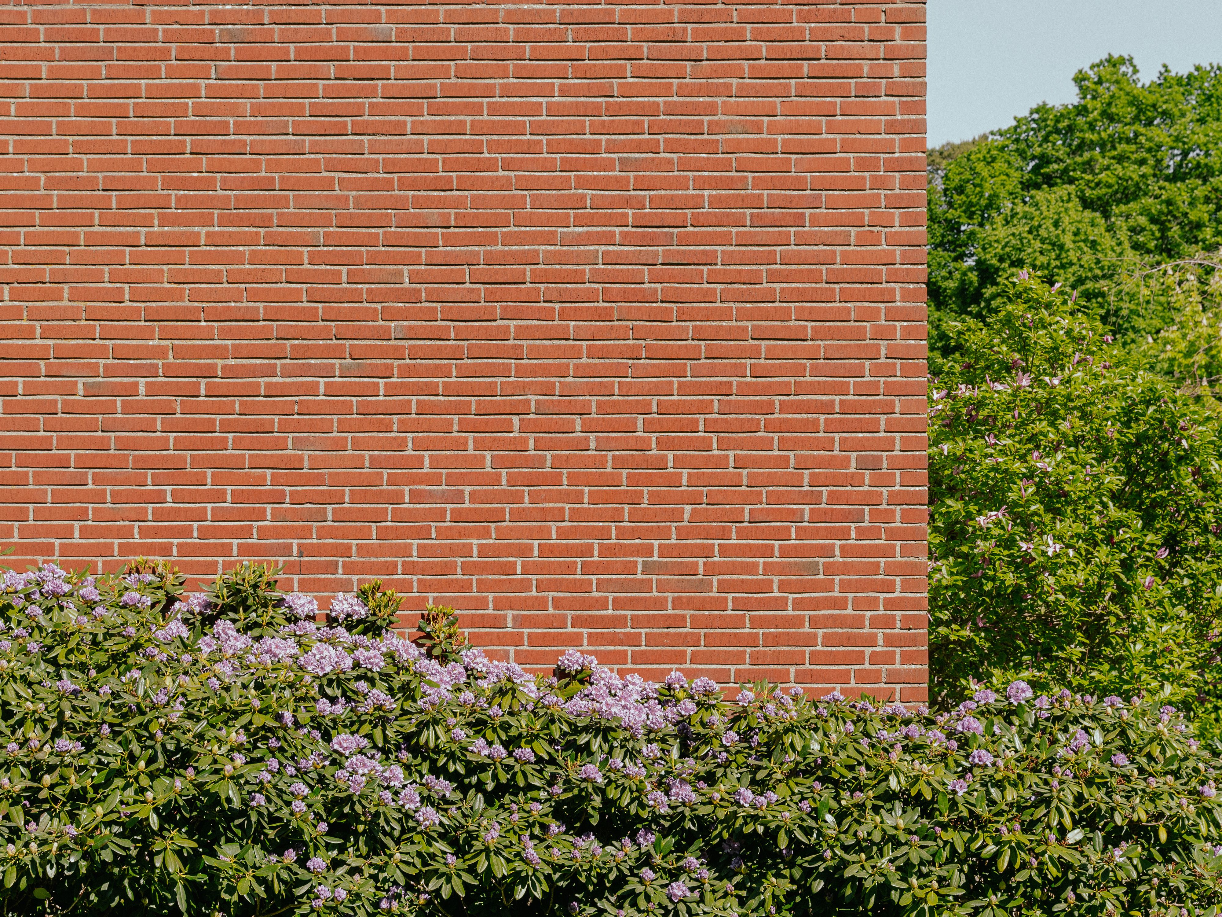 En tegelvägg omgiven av grösnak