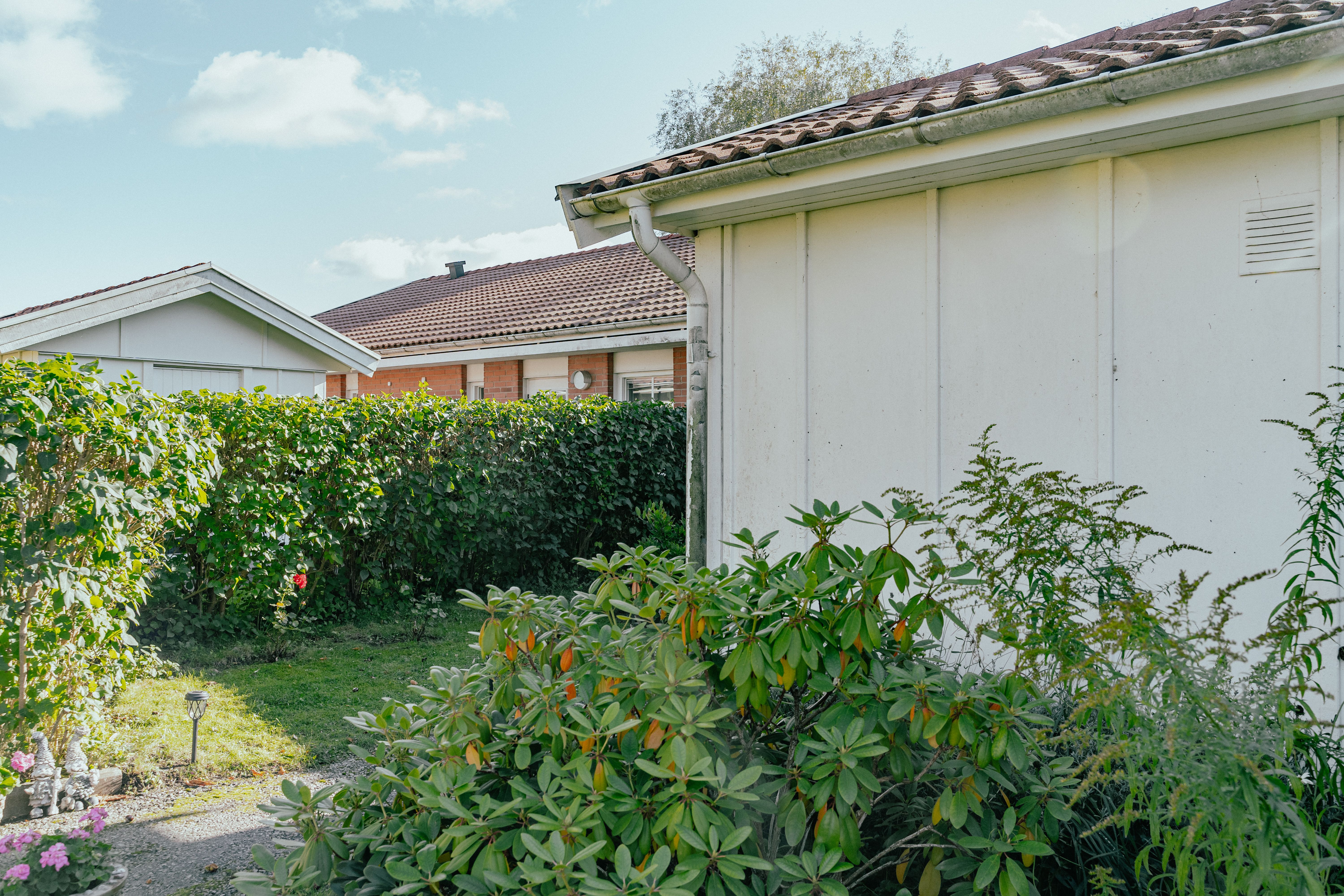 Baksidan av ett hus samt trädgård med gröna växter