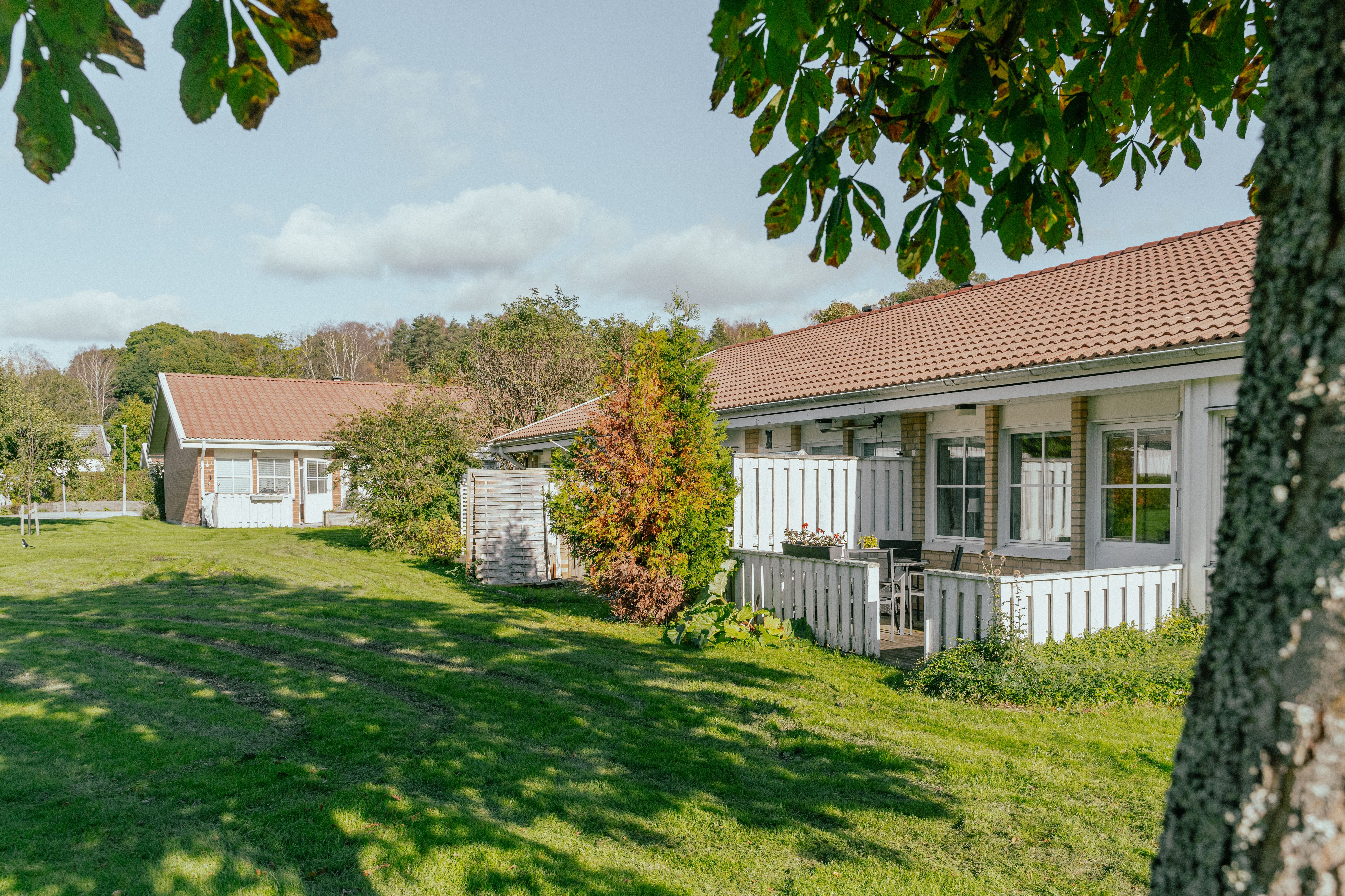 En gräsmatta med träd framför ett enplanshus med uteplatser