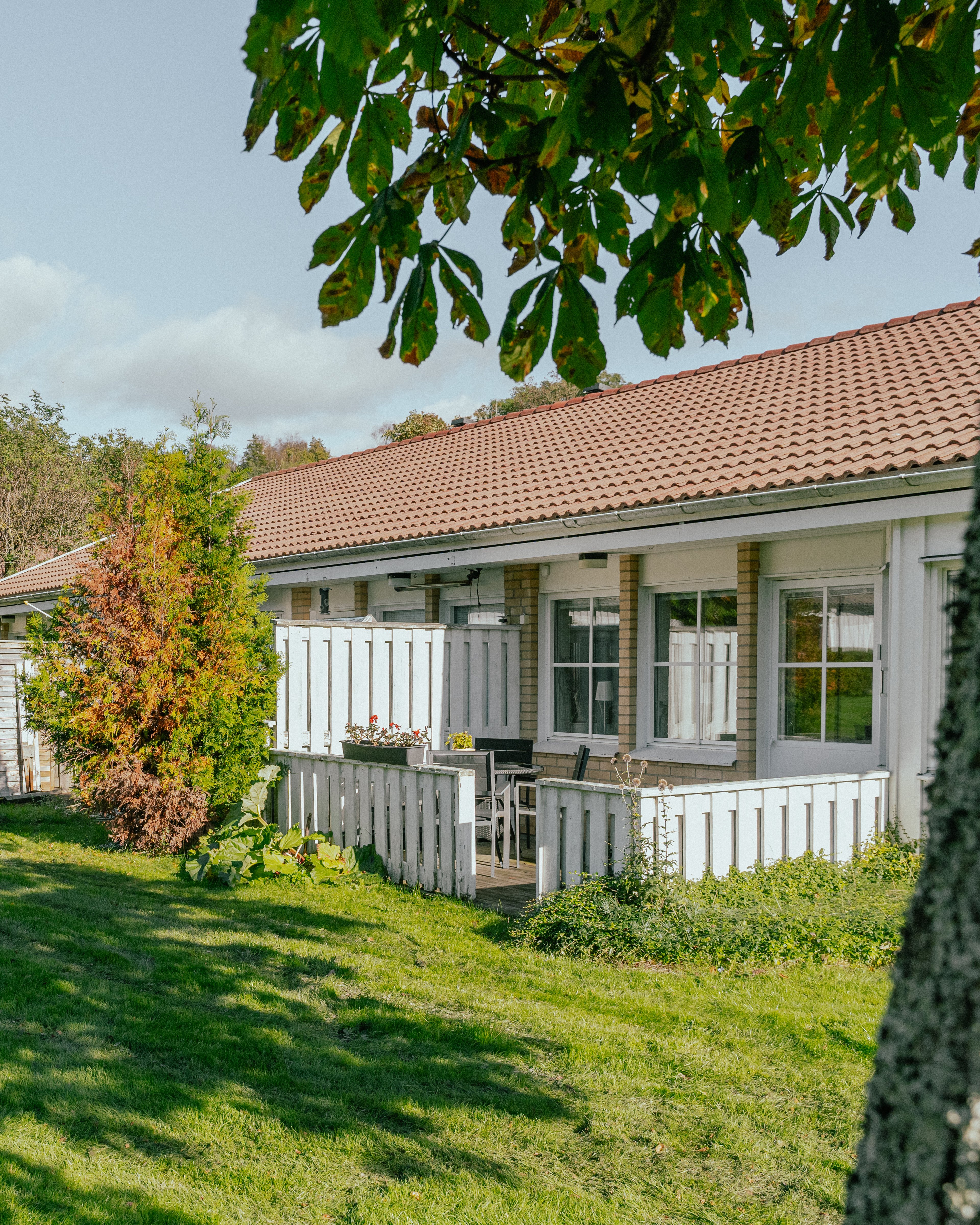 En gräsmatta med träd framför ett enplanshus med uteplatser