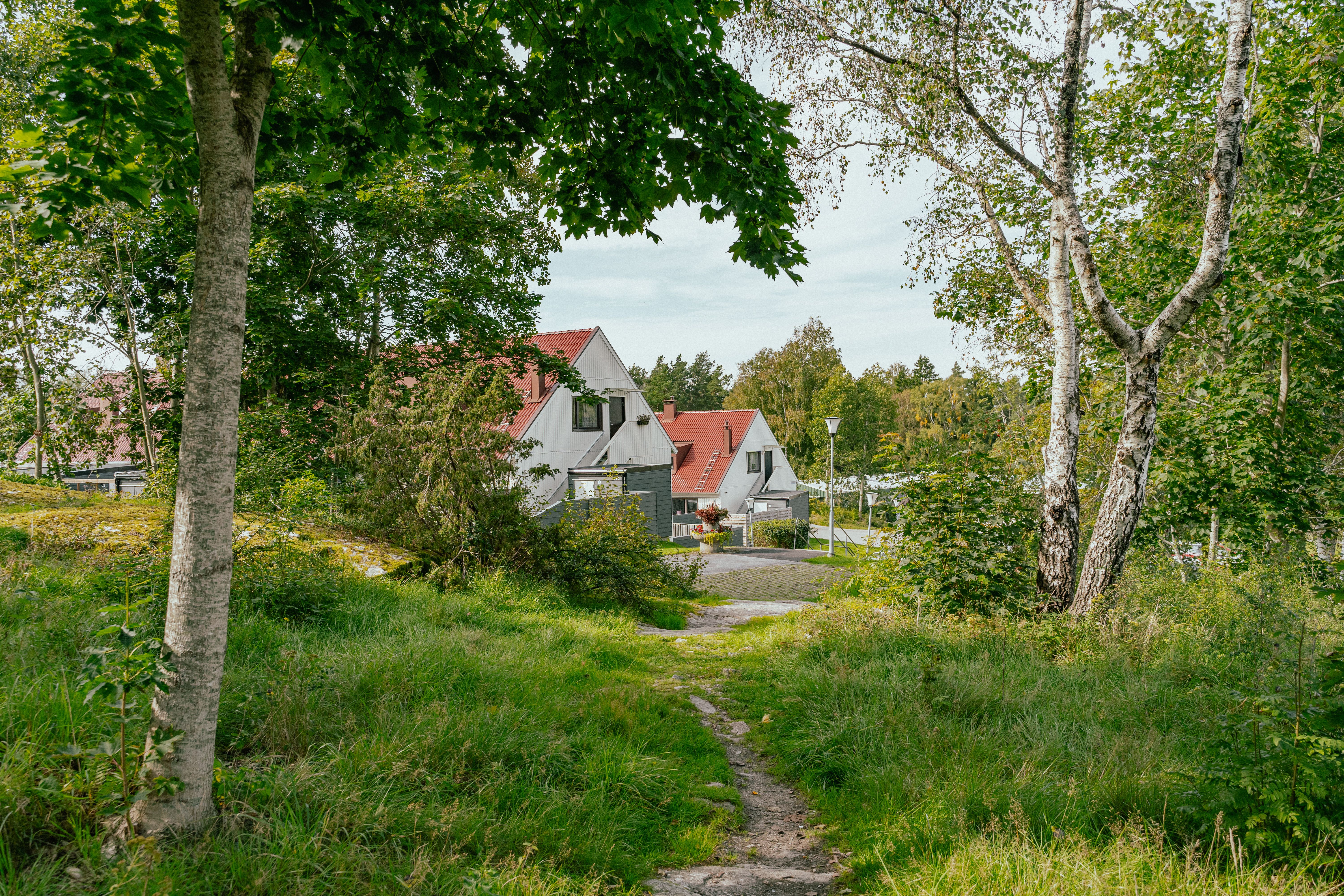 Ett radhus på avstånd skymtar mellan träd, gräs och buskar