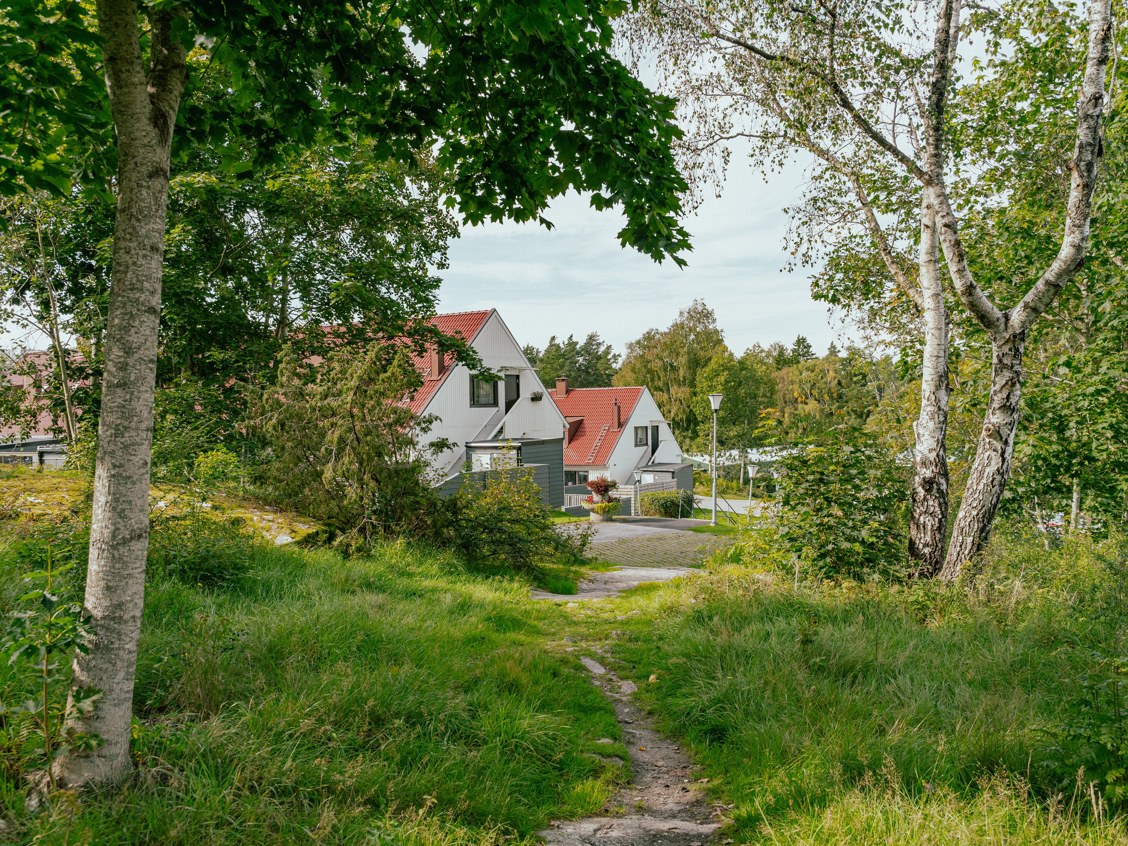 Ett radhus på avstånd skymtar mellan träd, gräs och buskar