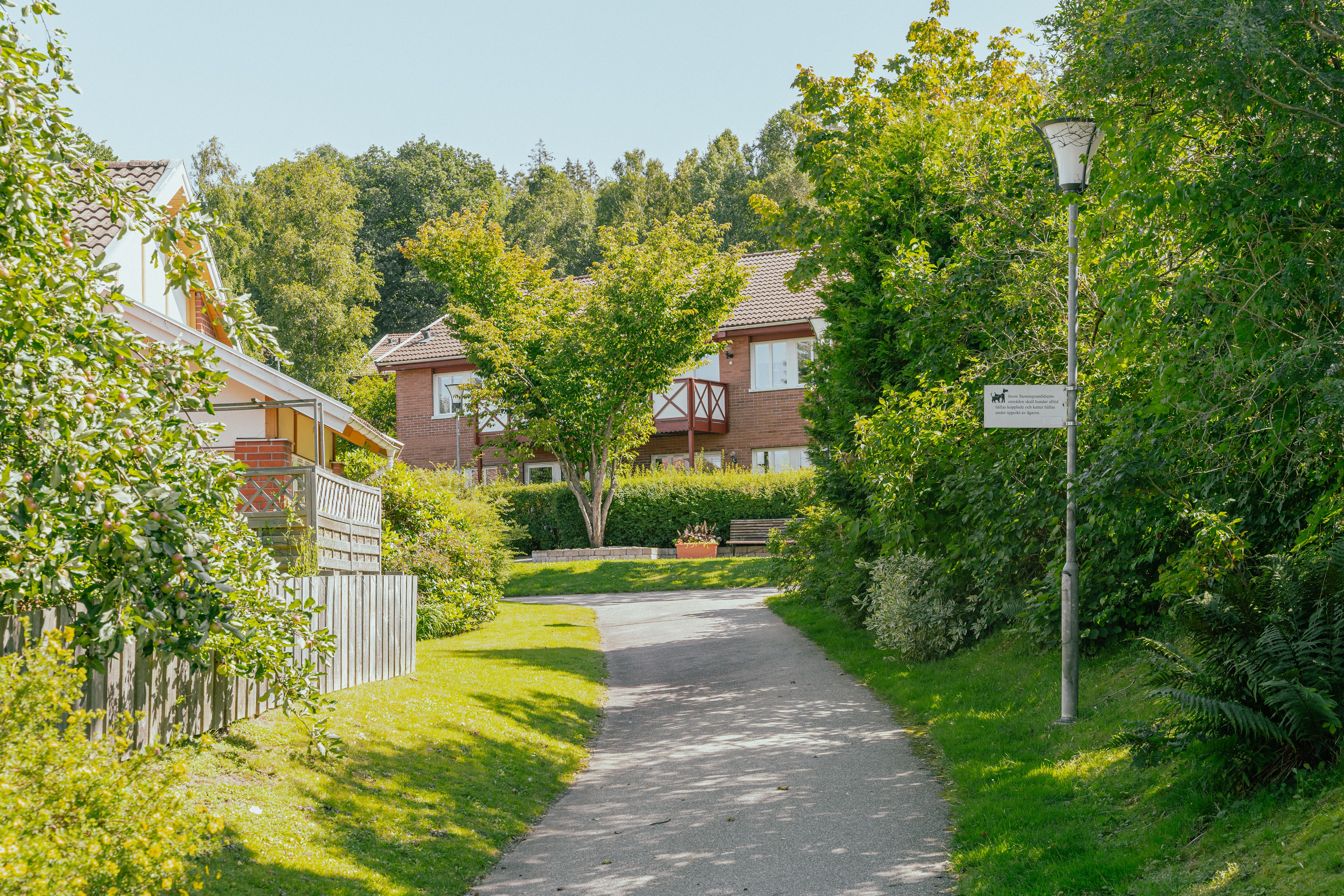 En gångväg med hus på ena sidan och ett stort buskage på andra sidan