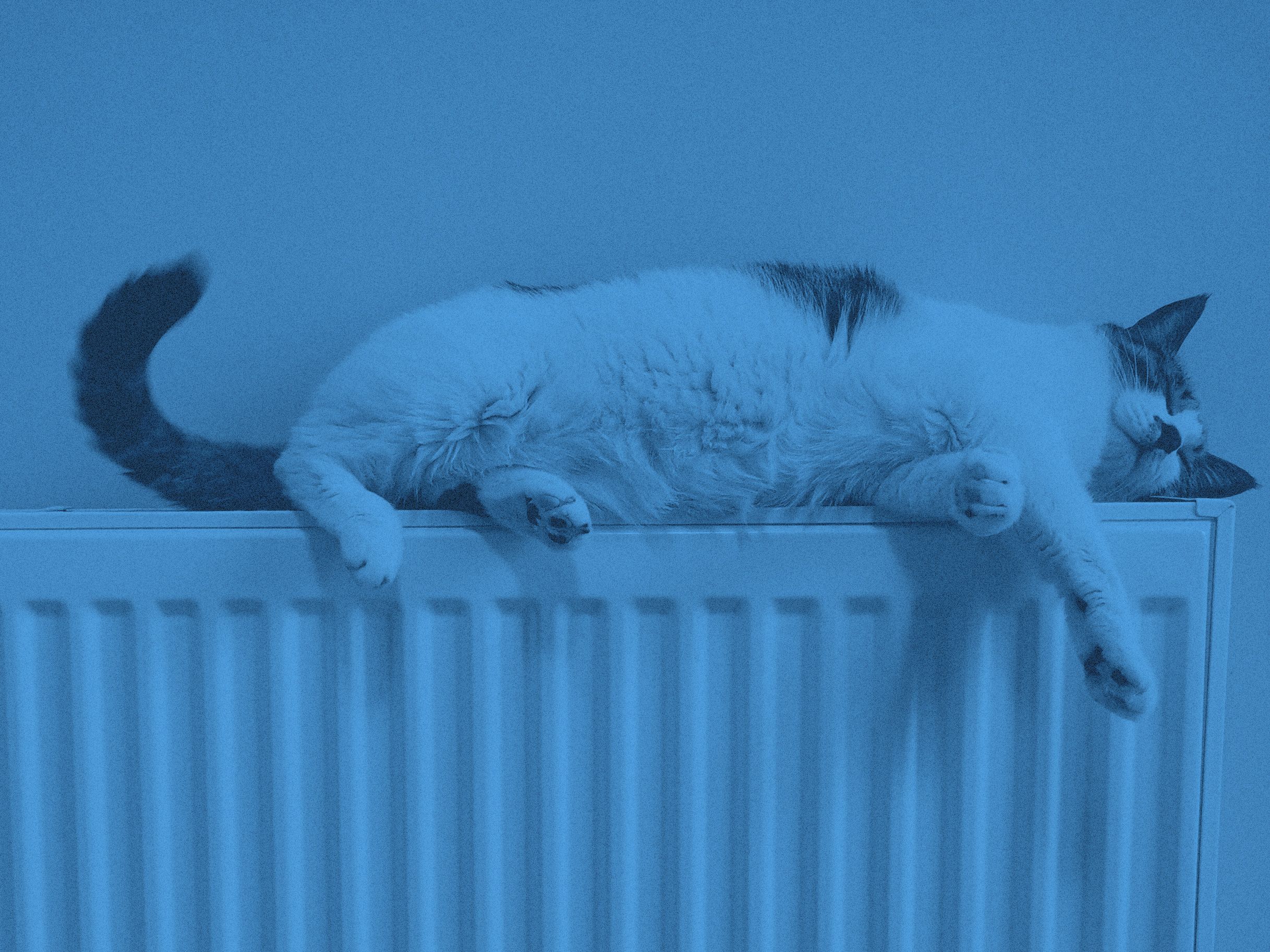 En katt som vilar på ett radiator-element