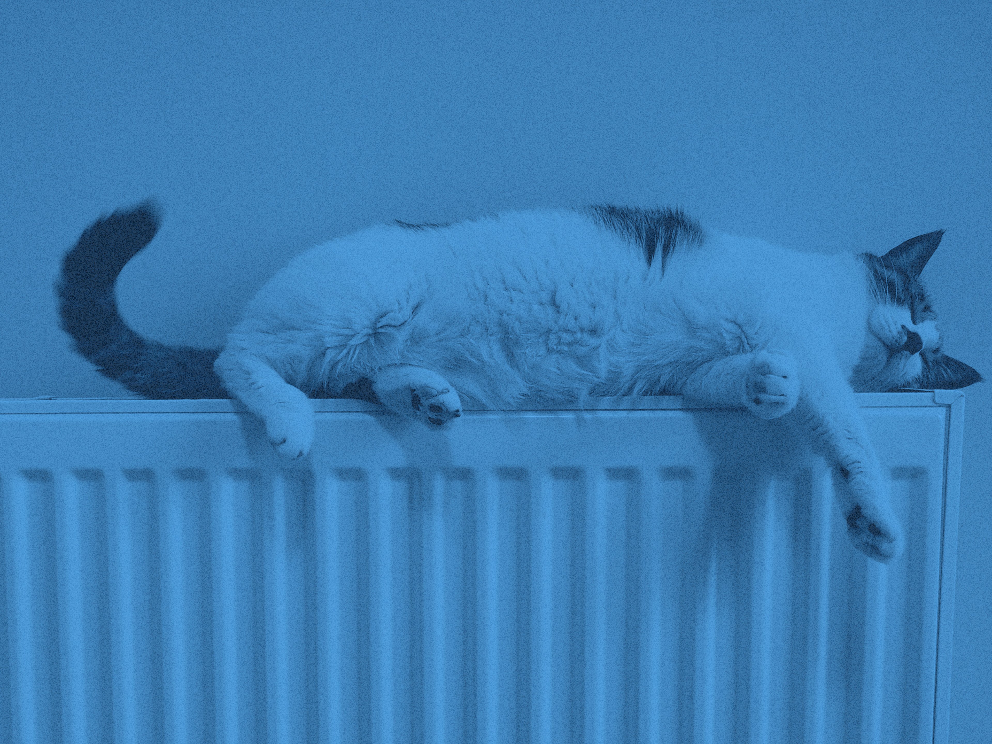 En katt som vilar på ett radiator-element